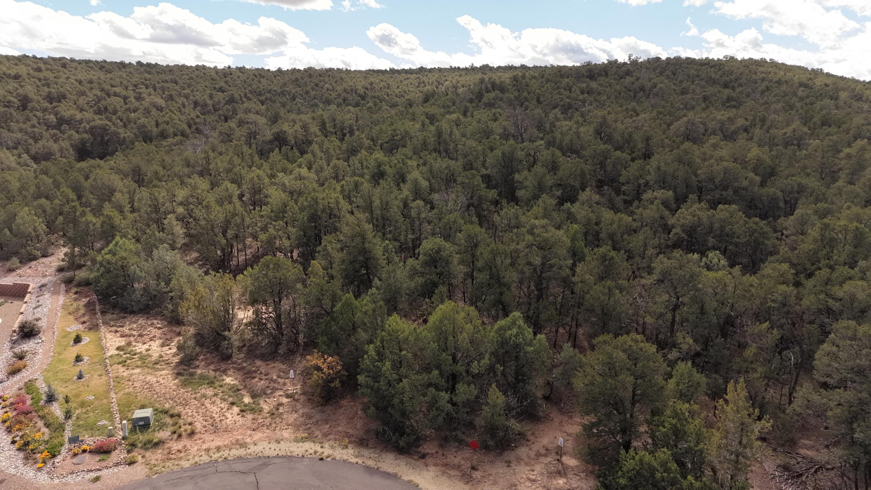 Photo 7 — 50 Los Pecos Loop