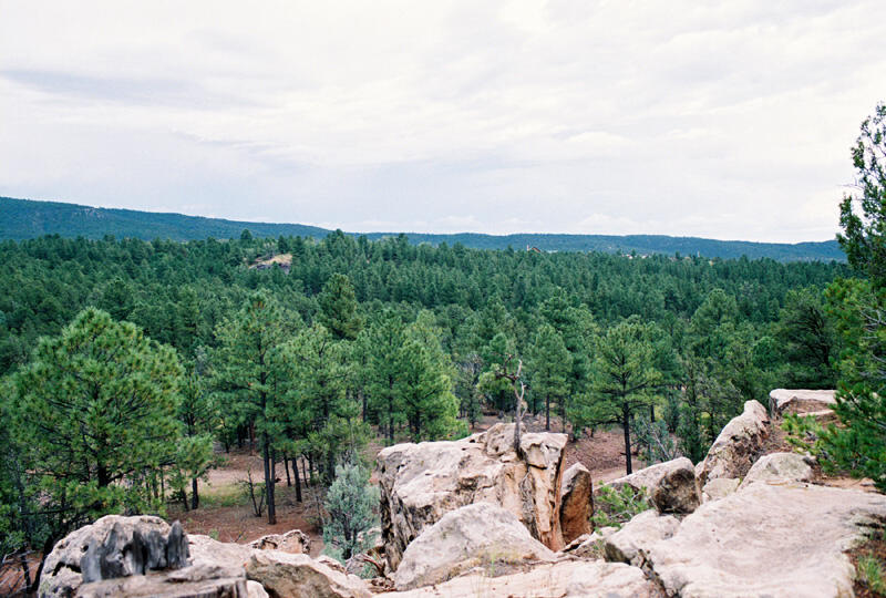 Photo 3 —  B51 & Cow Creek Rd