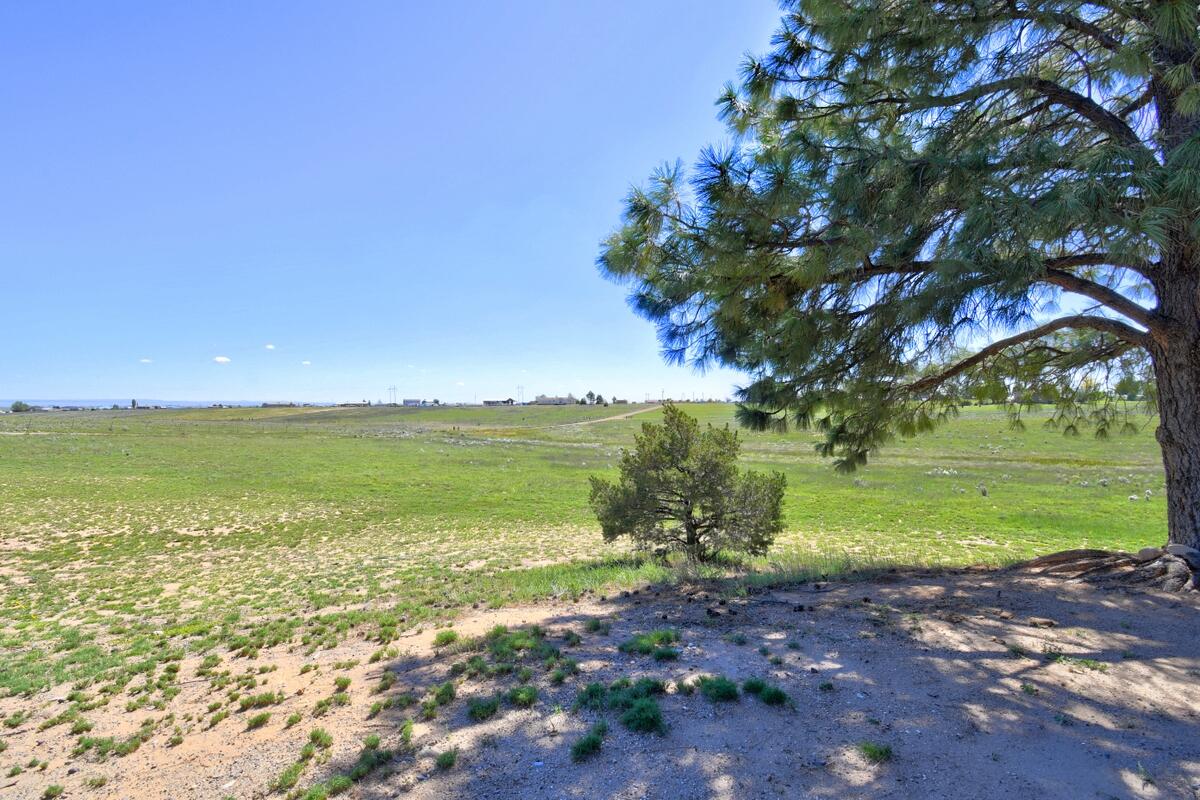 Photo 16 — 35 N Stallion Road