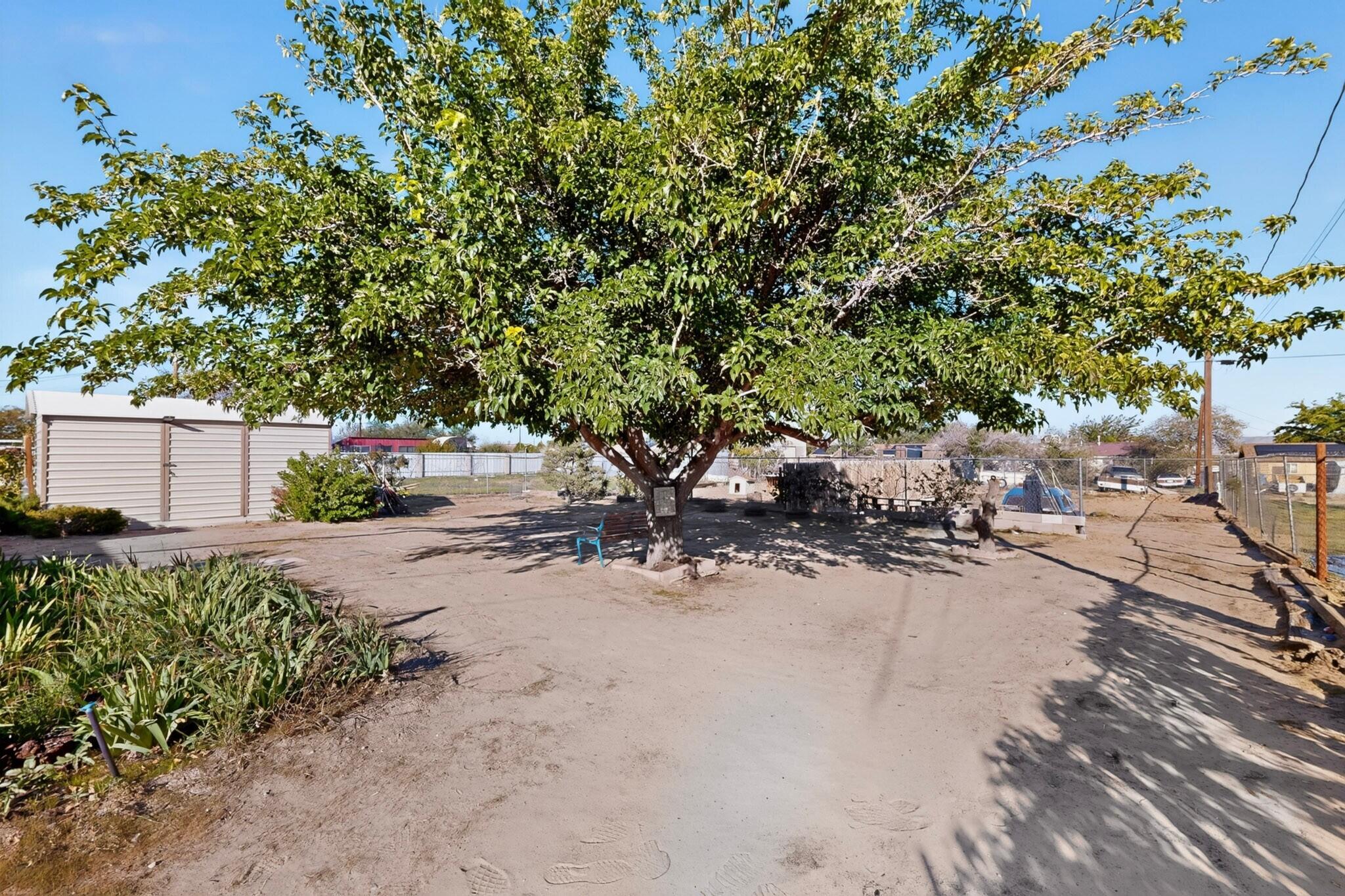 Photo 6 — 3300 Grace Vigil Road SW