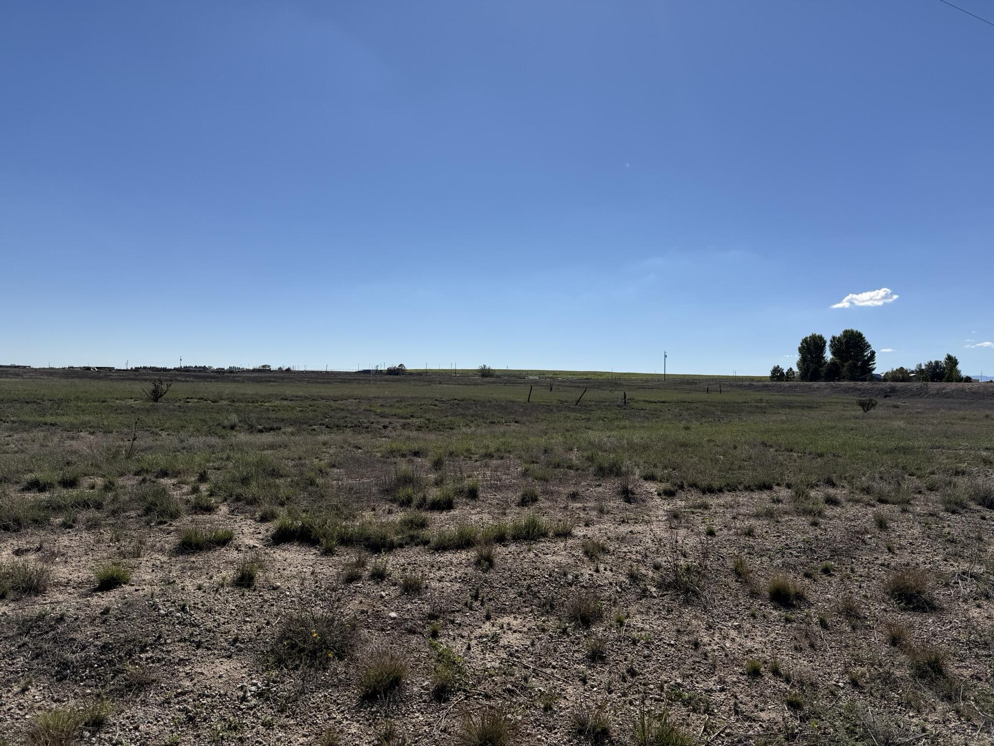 Photo 5 —  Willow Lake, Lot 15 Road