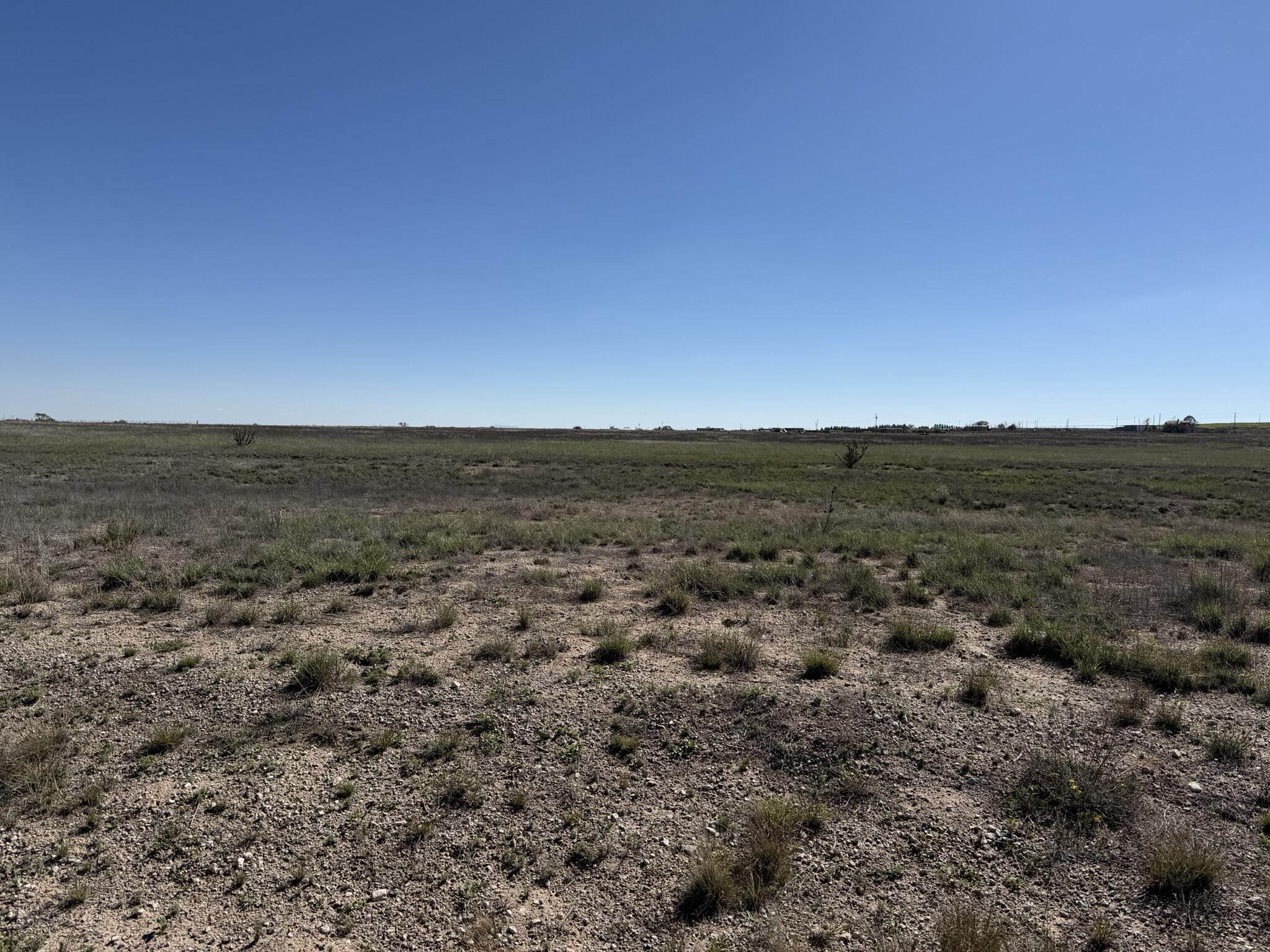 Photo 7 —  Willow Lake, Lot 14 Road
