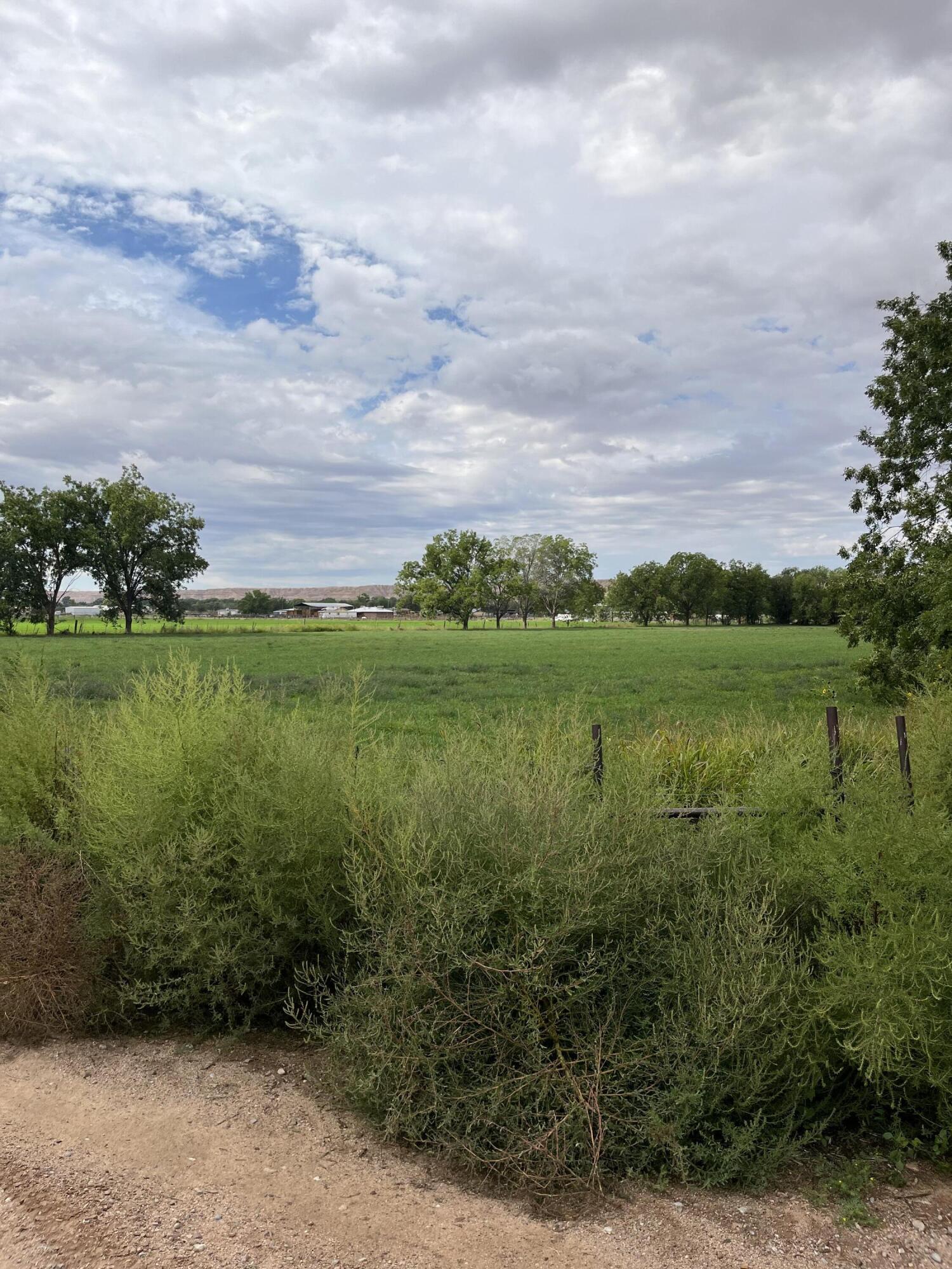 Photo 7 —  E OF Armijo Road