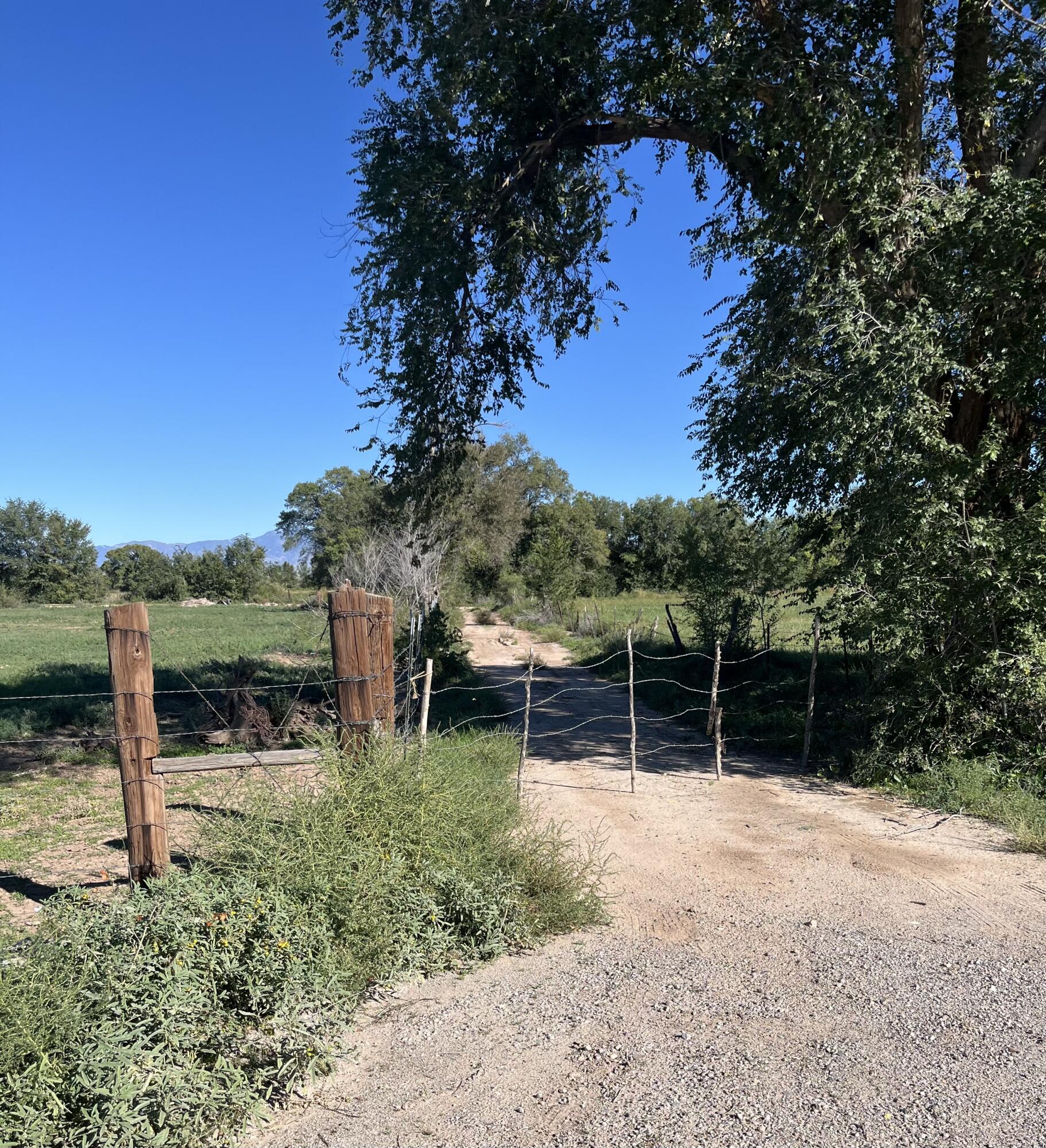 Photo 4 —  E OF Armijo Road