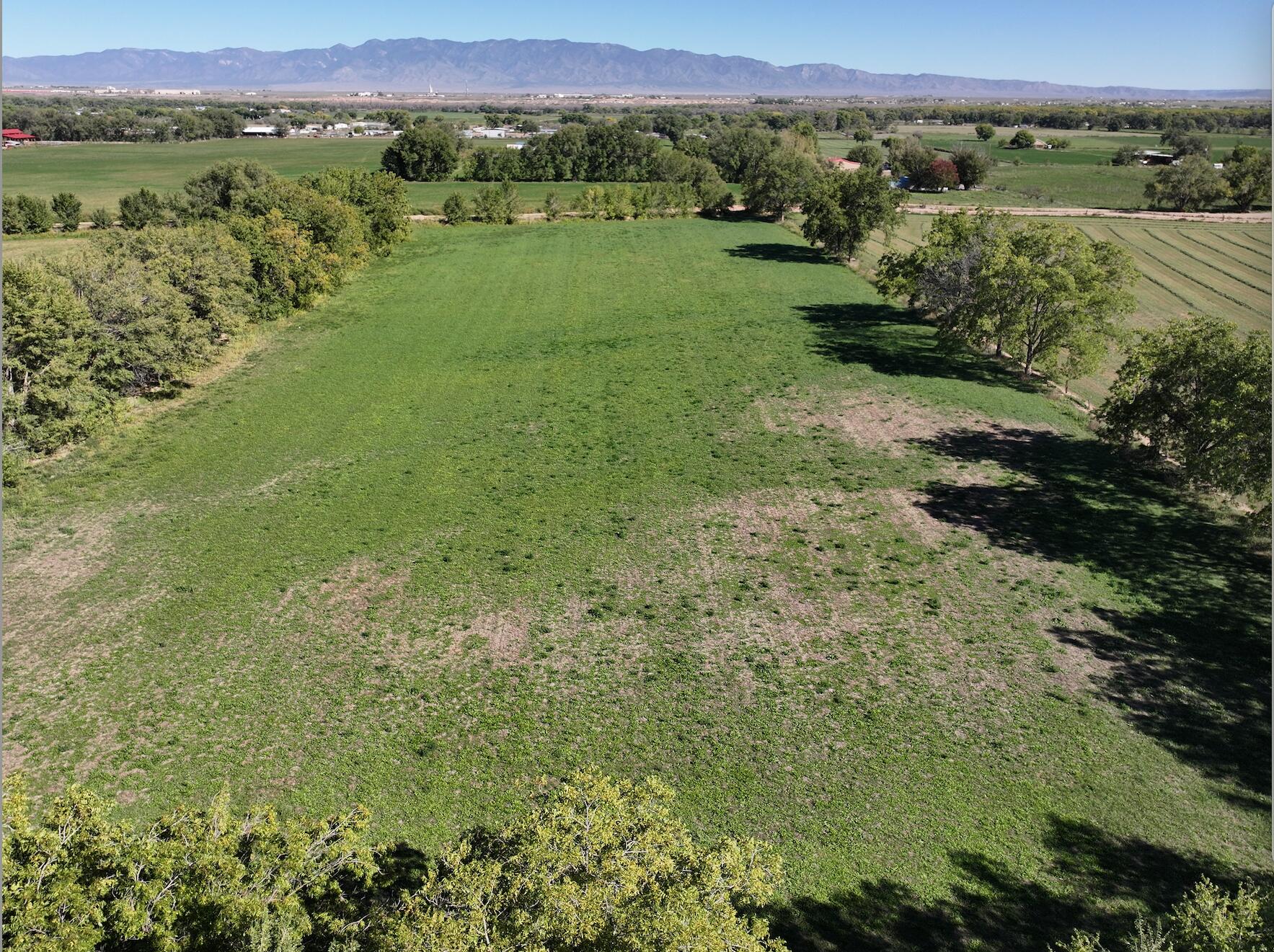 Photo 2 —  E OF Armijo Road