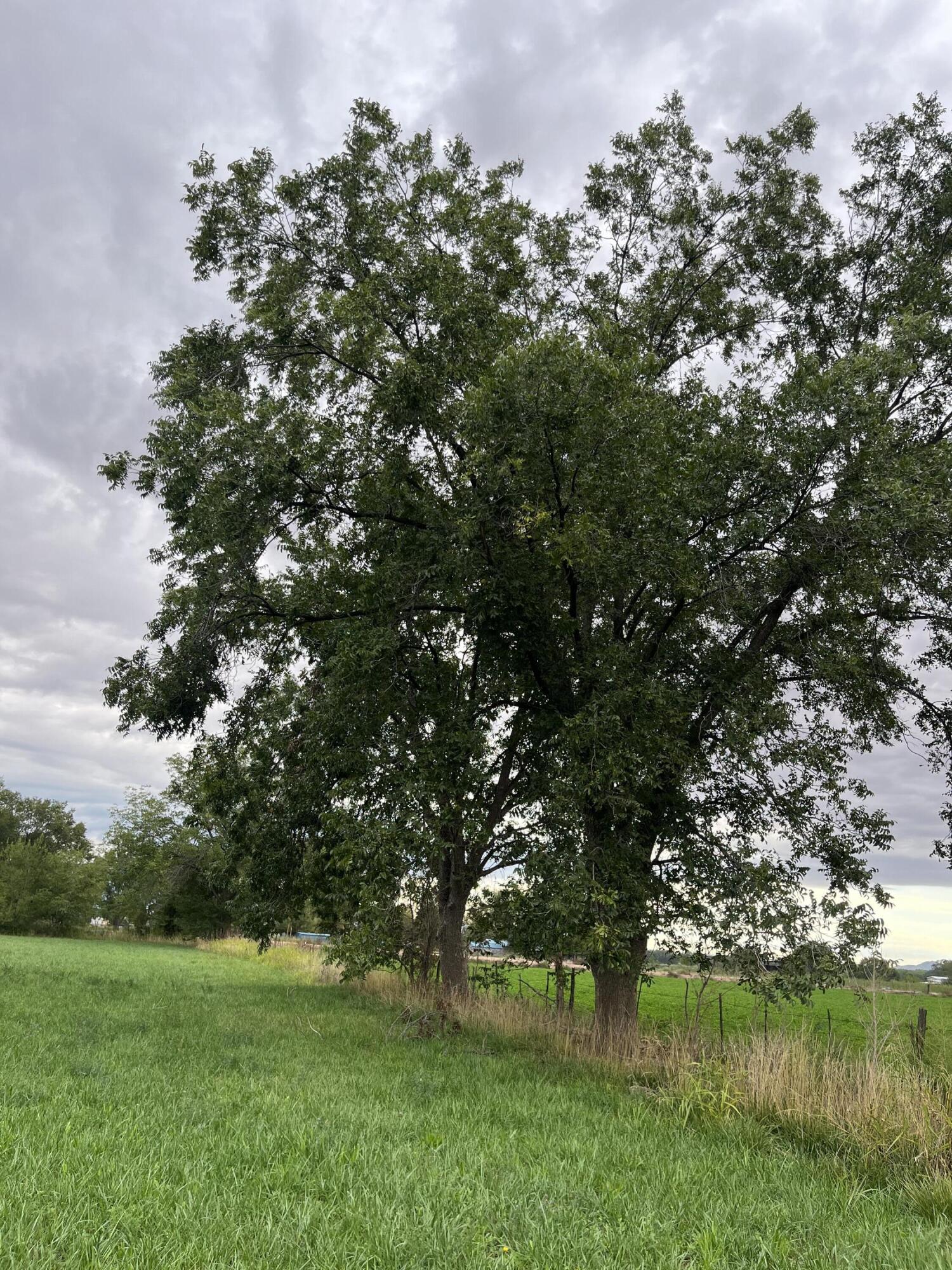Photo 15 —  E OF Armijo Road