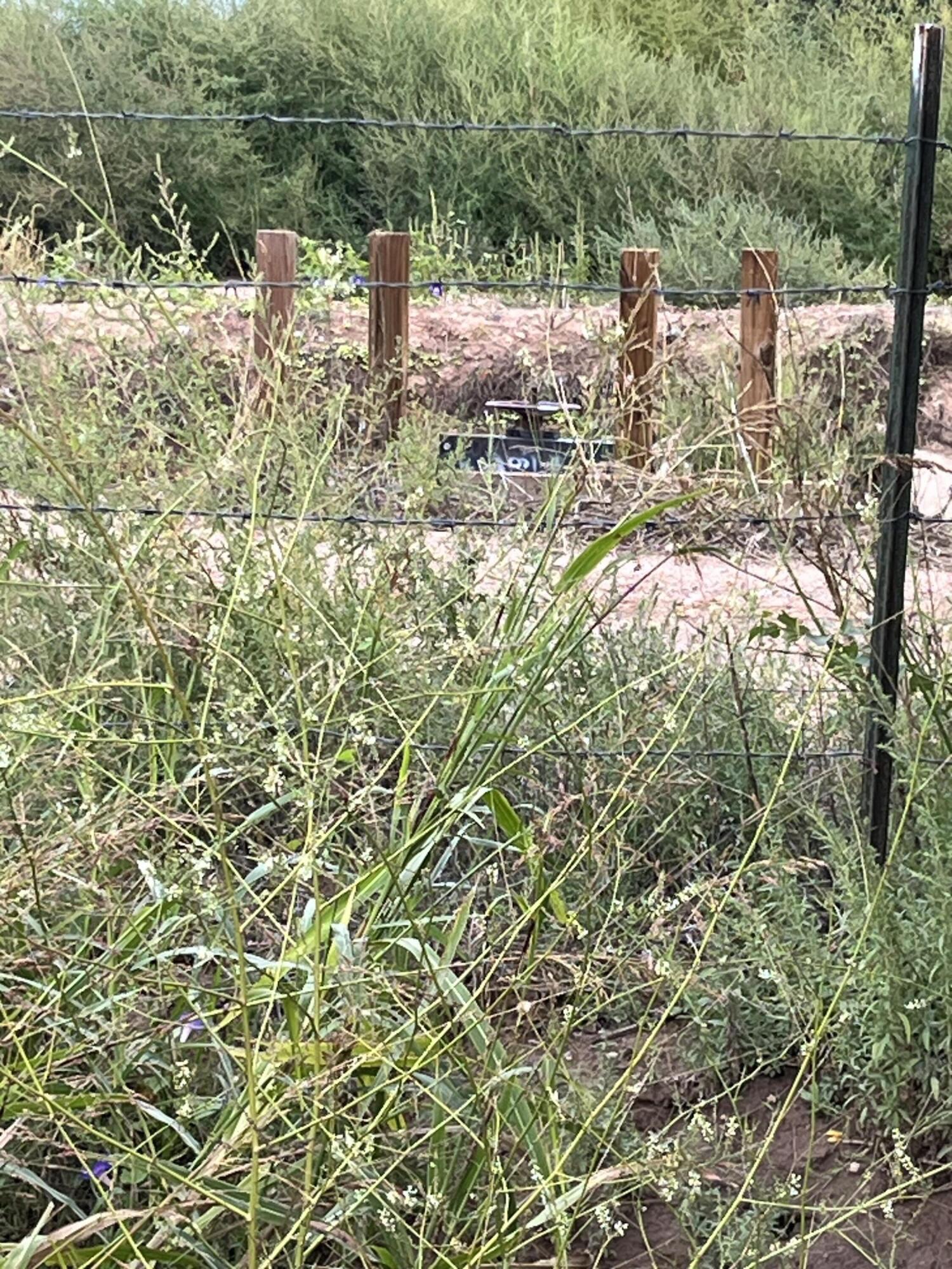 Photo 12 —  E OF Armijo Road