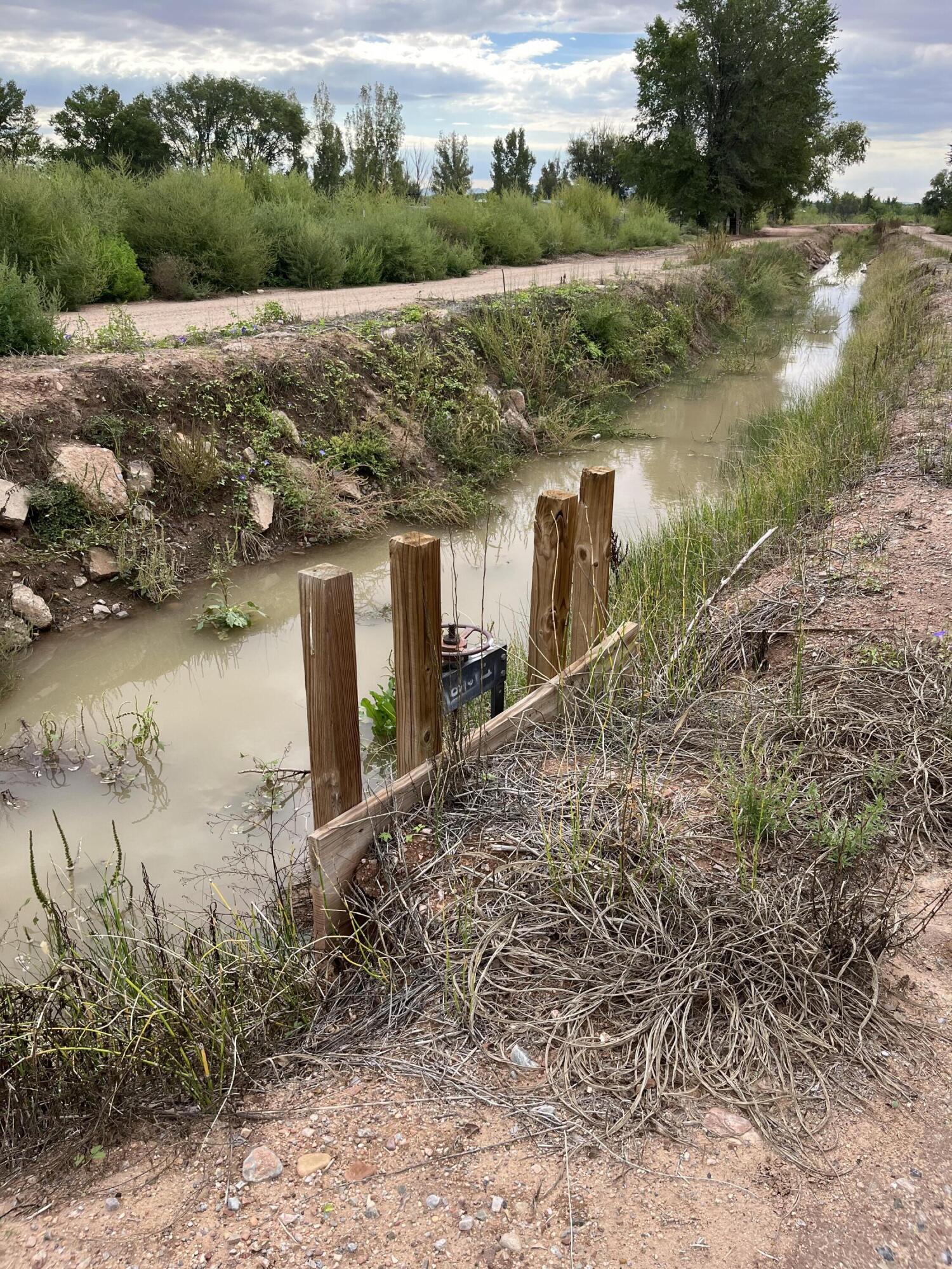 Photo 8 —  E OF Armijo Road