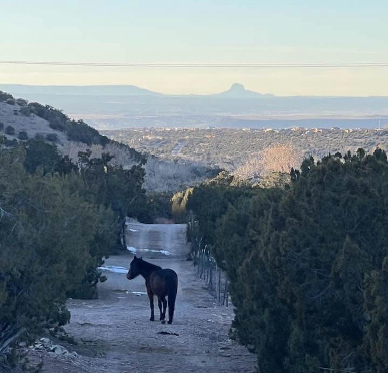 Photo 10 — 11 Tres Amigos Road