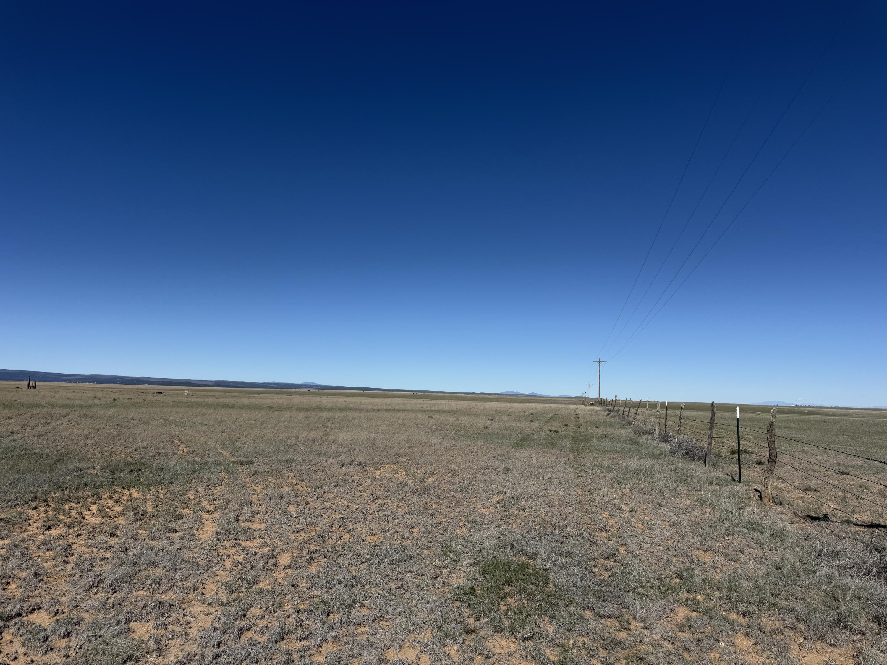 Photo 9 —  R029290