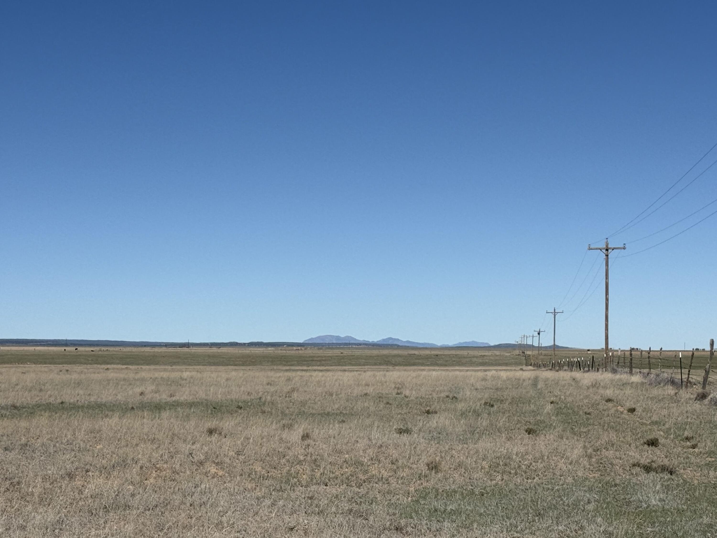 Photo 6 —  R029290