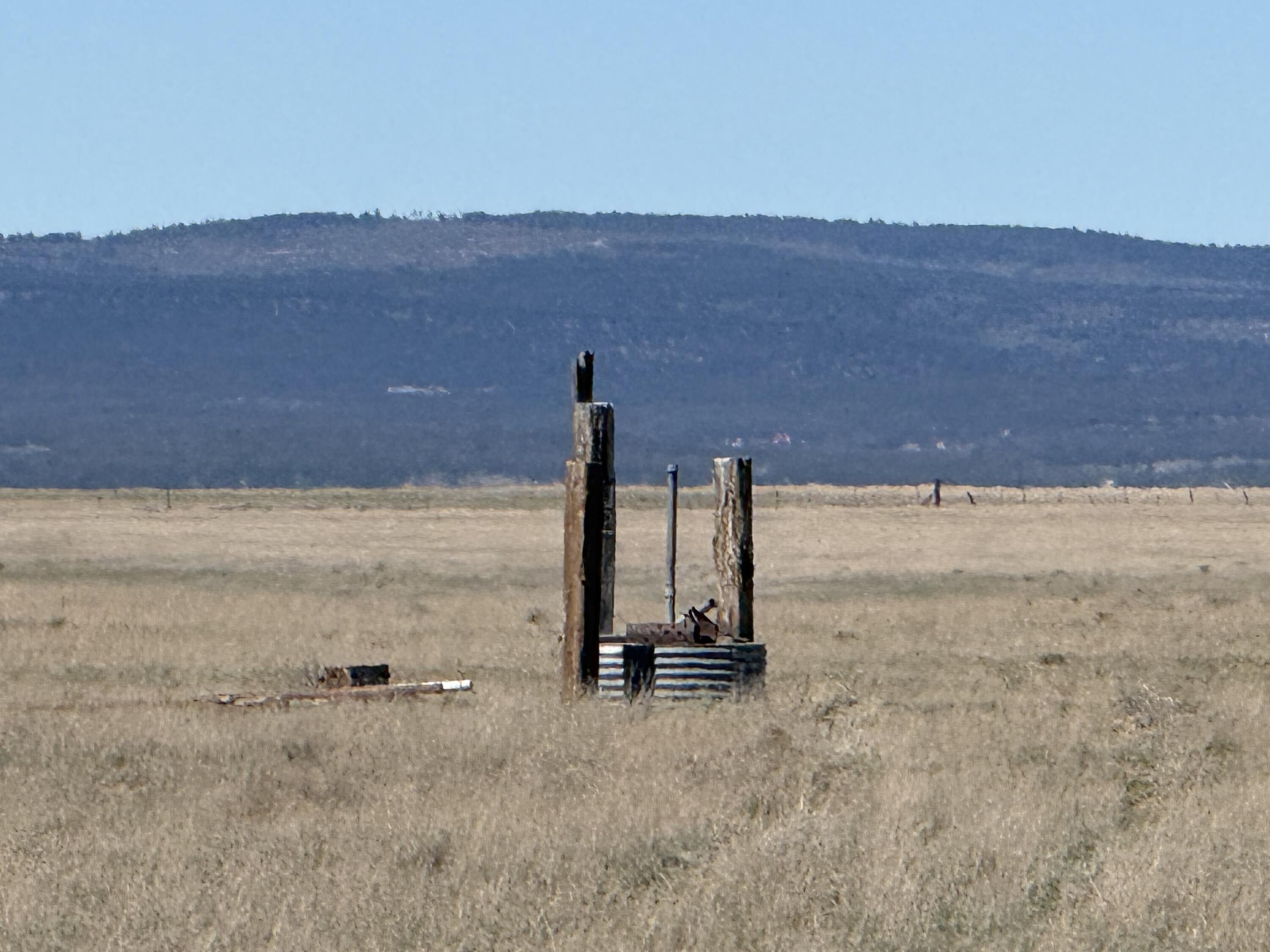 Photo 5 —  R029290