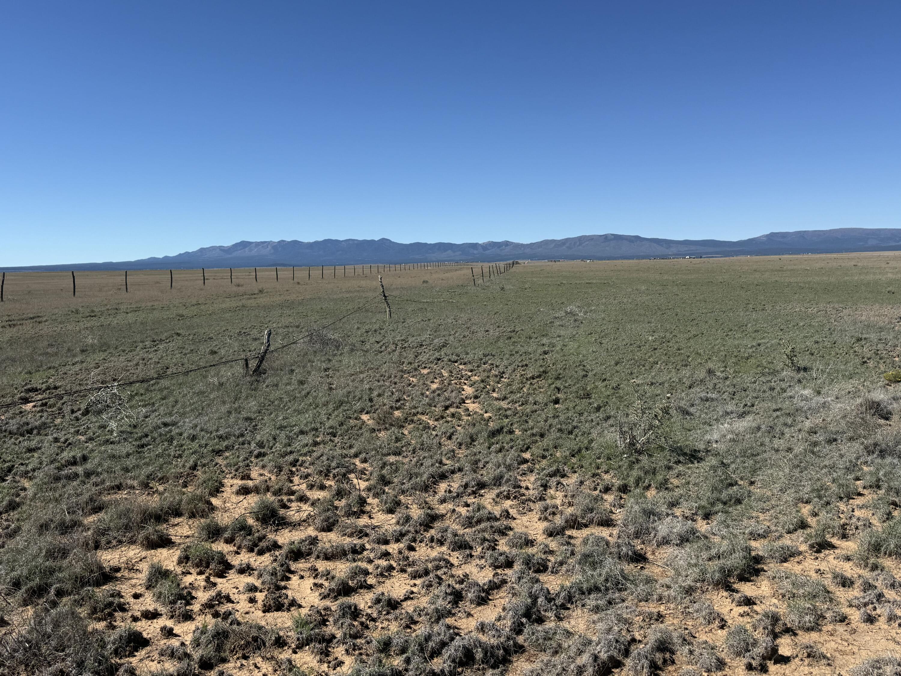 Photo 3 —  R029290