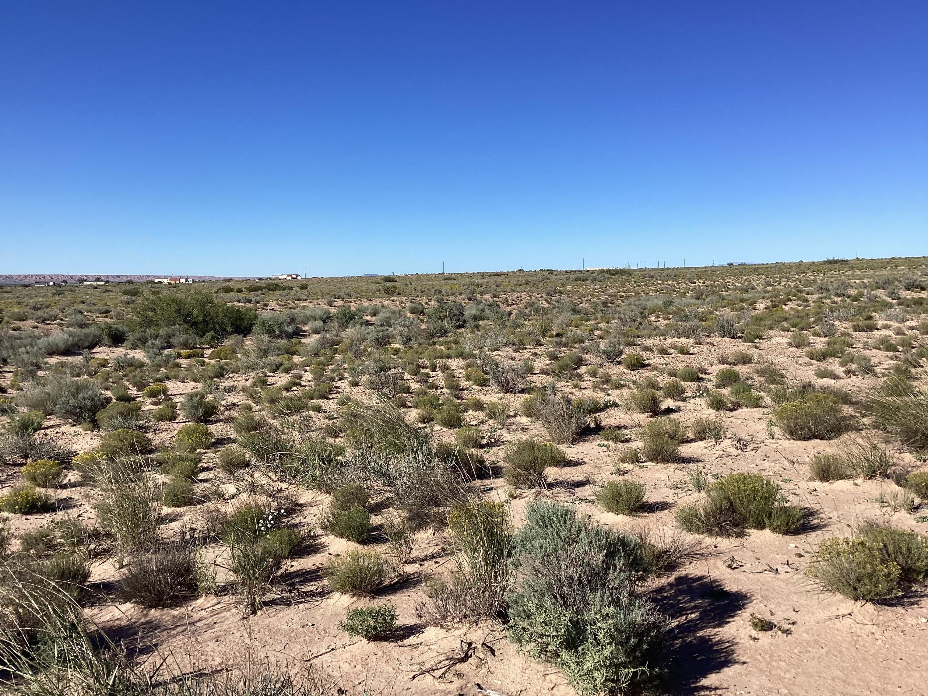 Photo 3 — 35 Torian Road