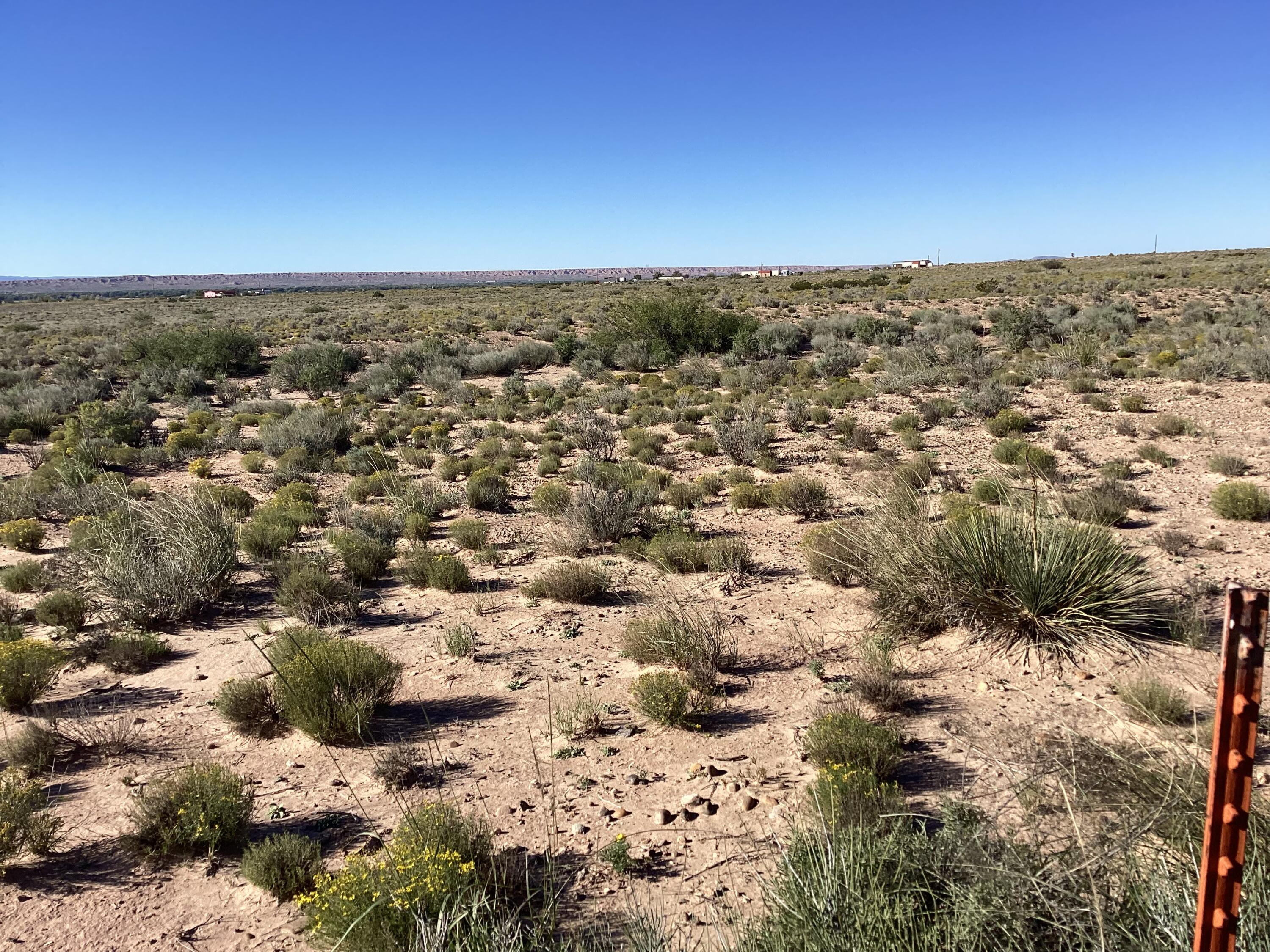 Photo 7 — 35 Torian Road