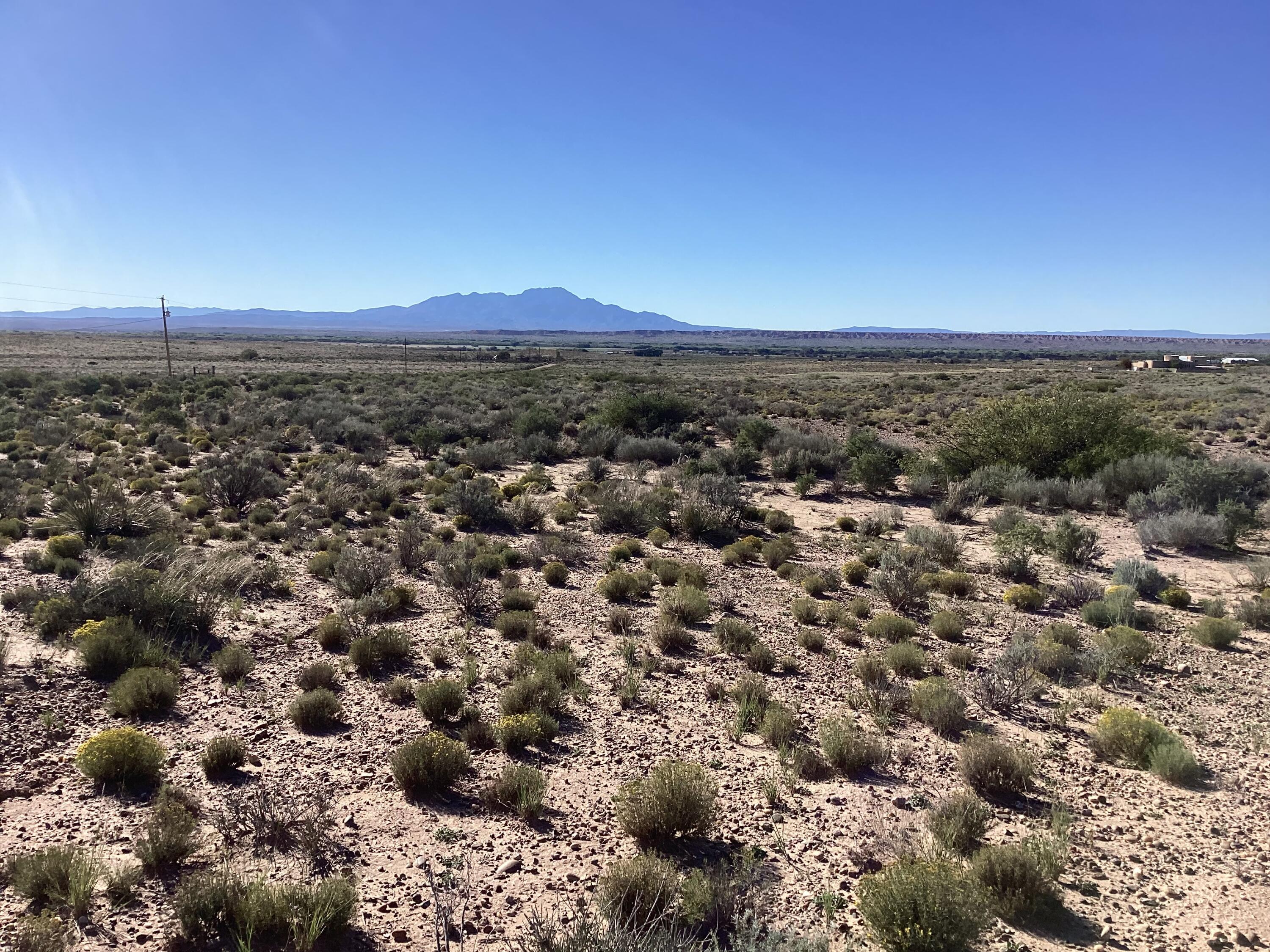 Photo 8 — 35 Torian Road