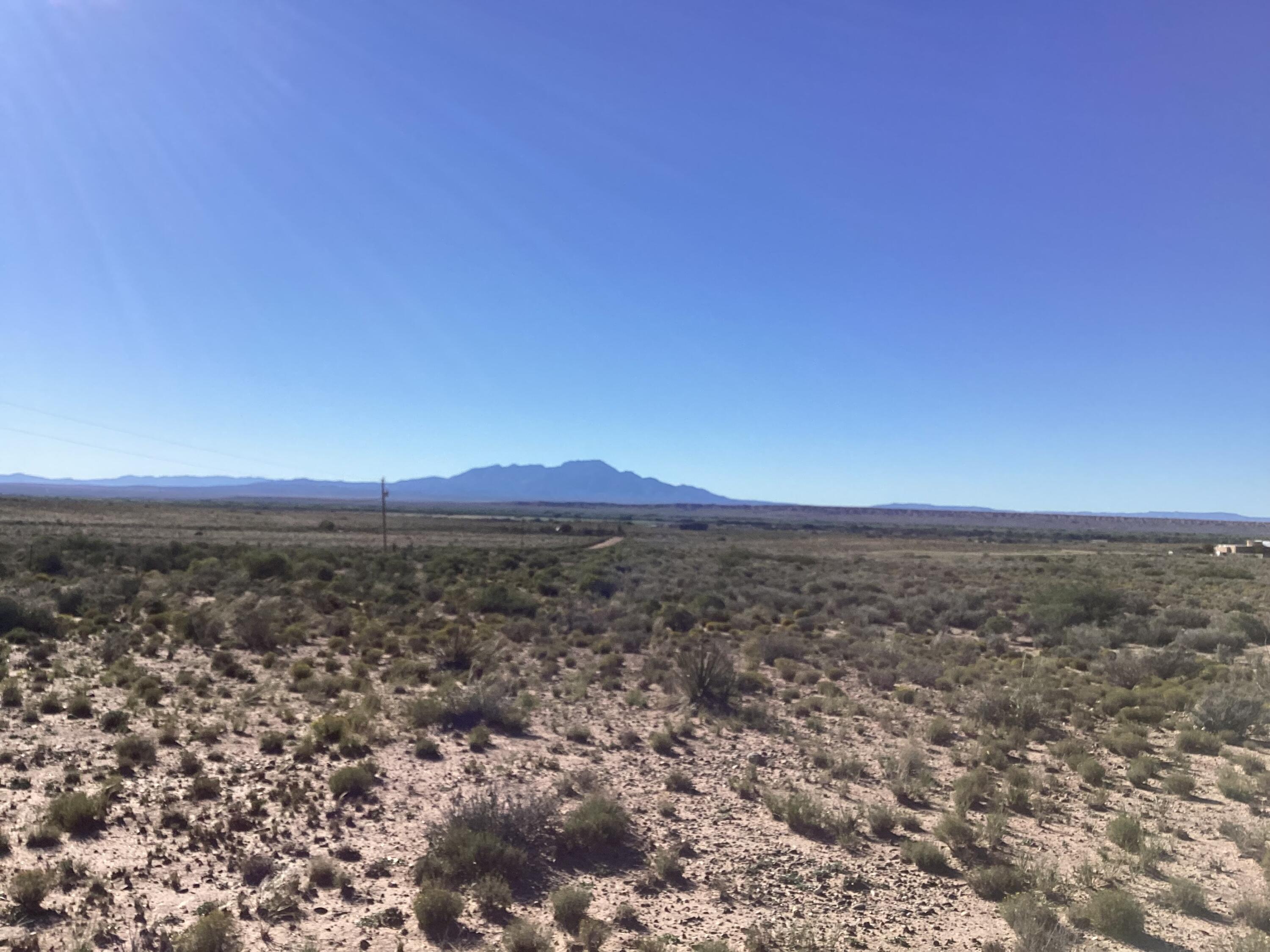 Photo 9 — 35 Torian Road