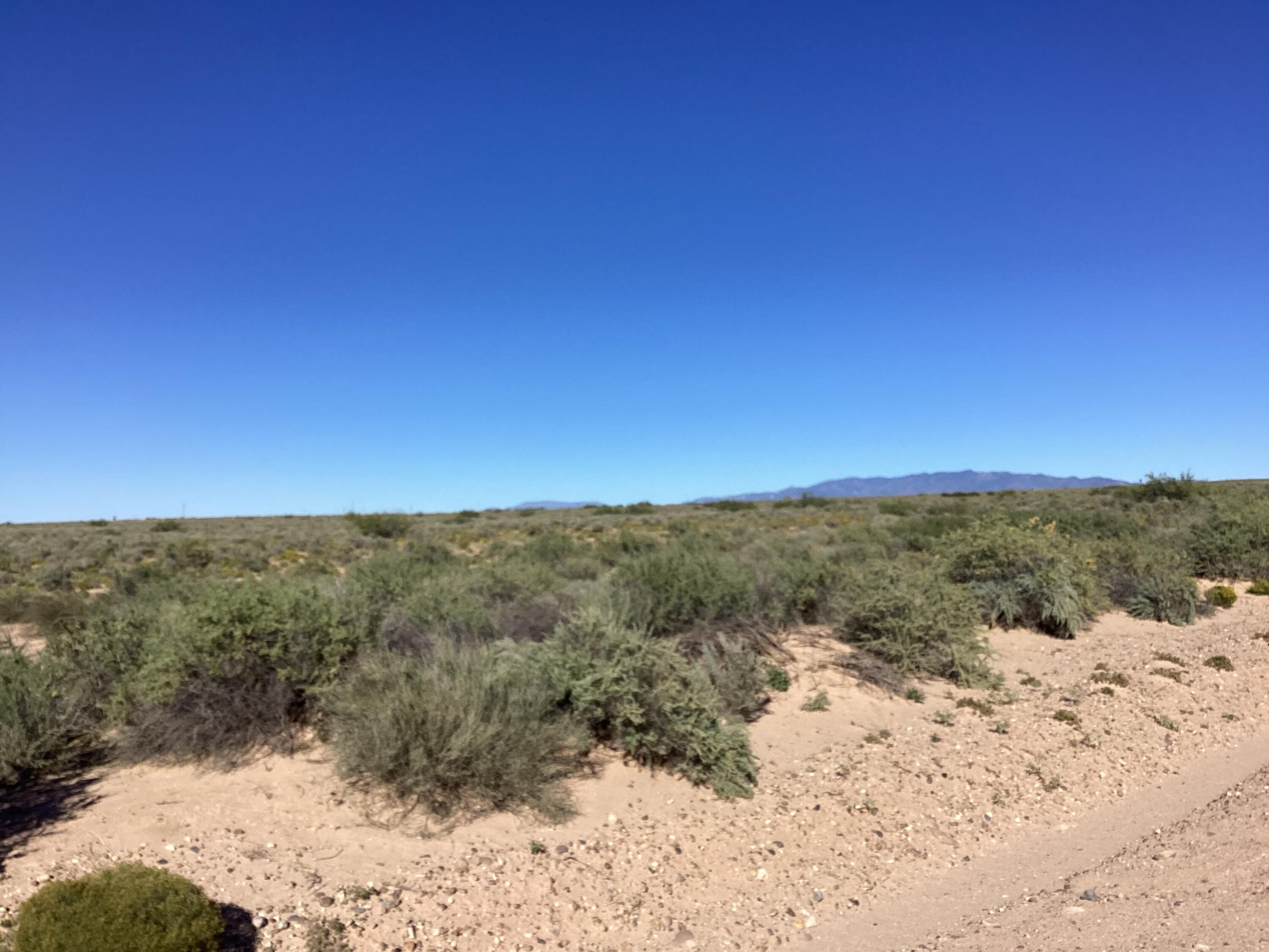 Photo 10 — 35 Torian Road