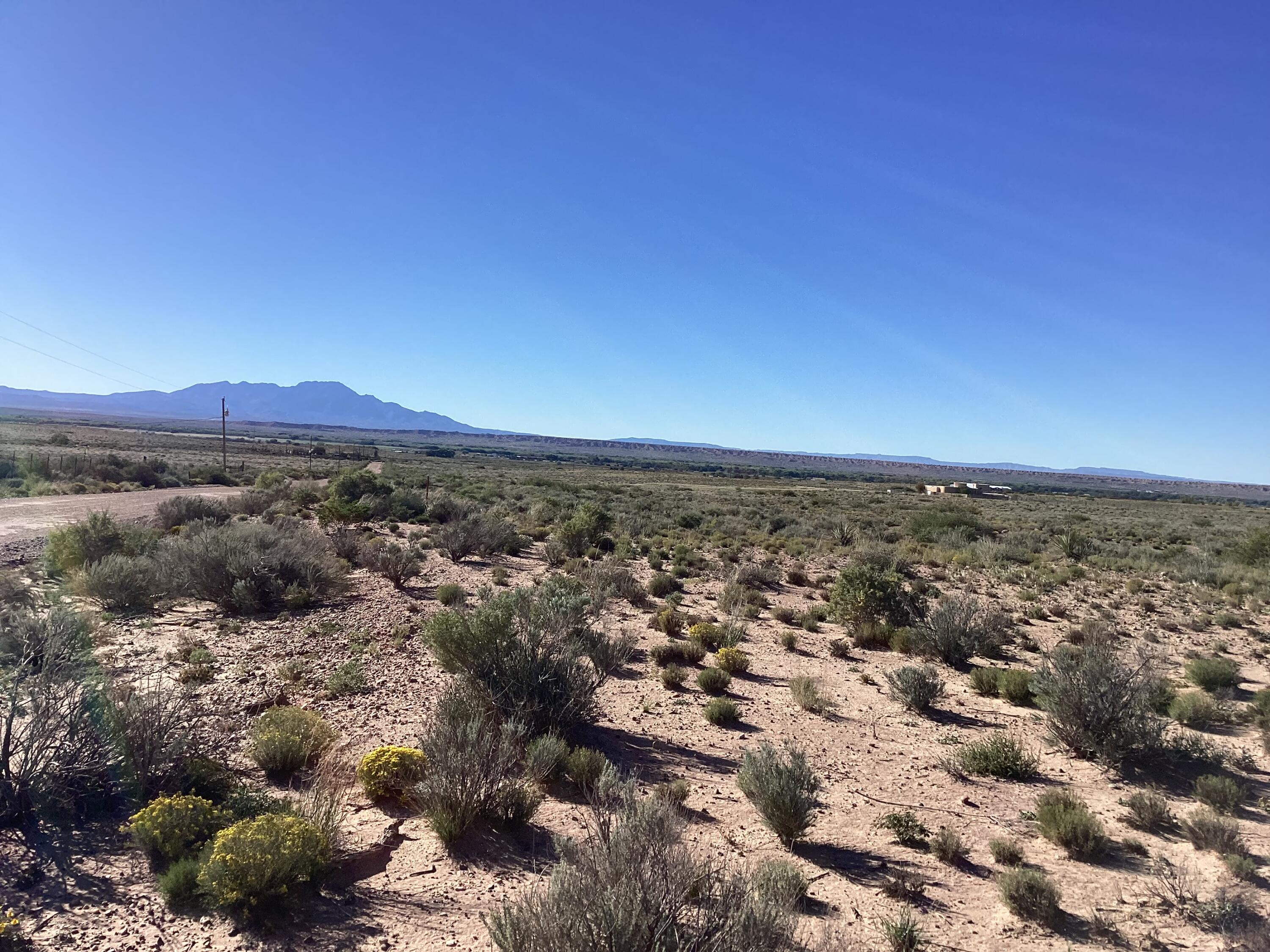 Photo 13 — 35 Torian Road