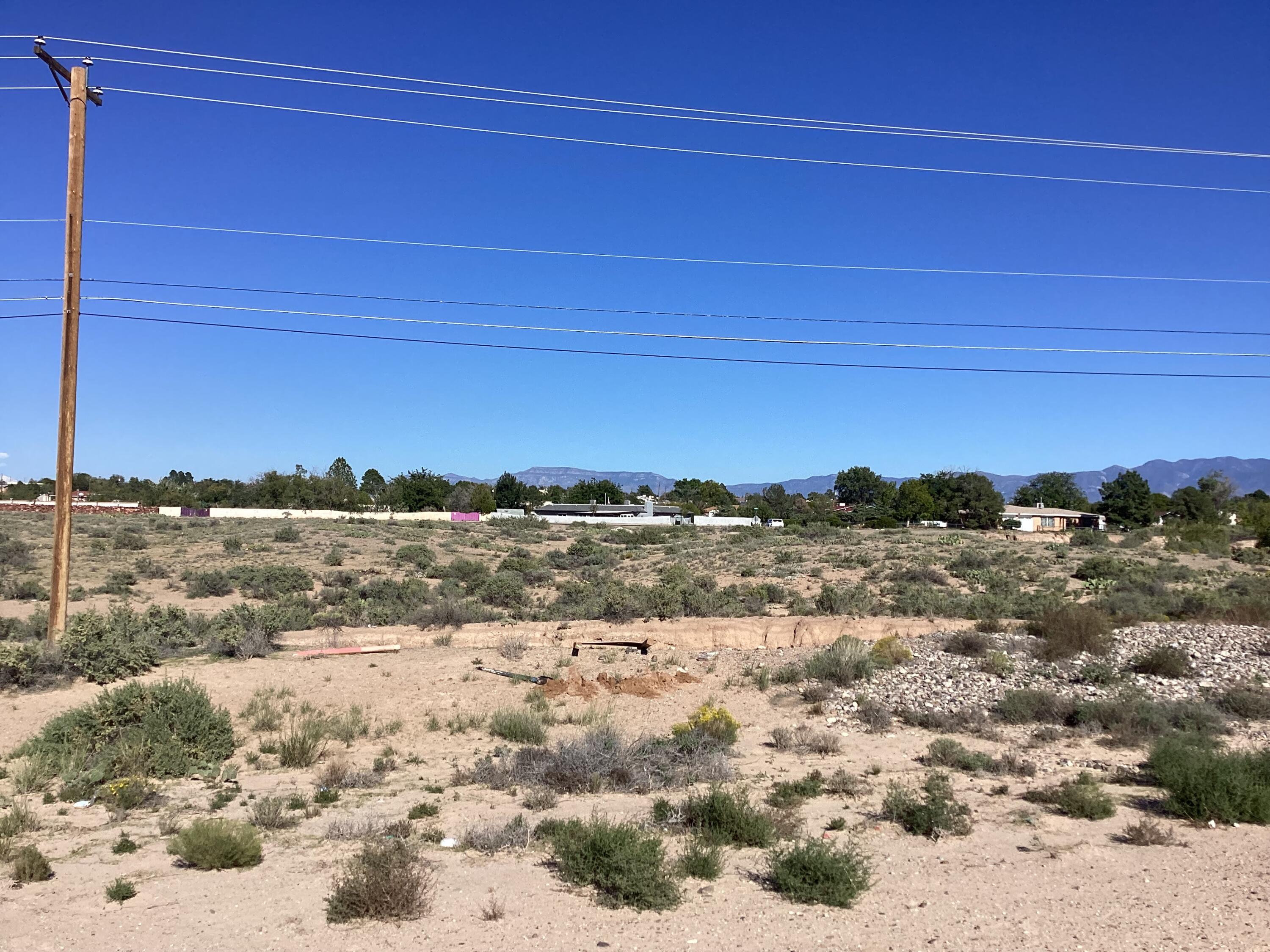 Photo 20 — 35 Torian Road