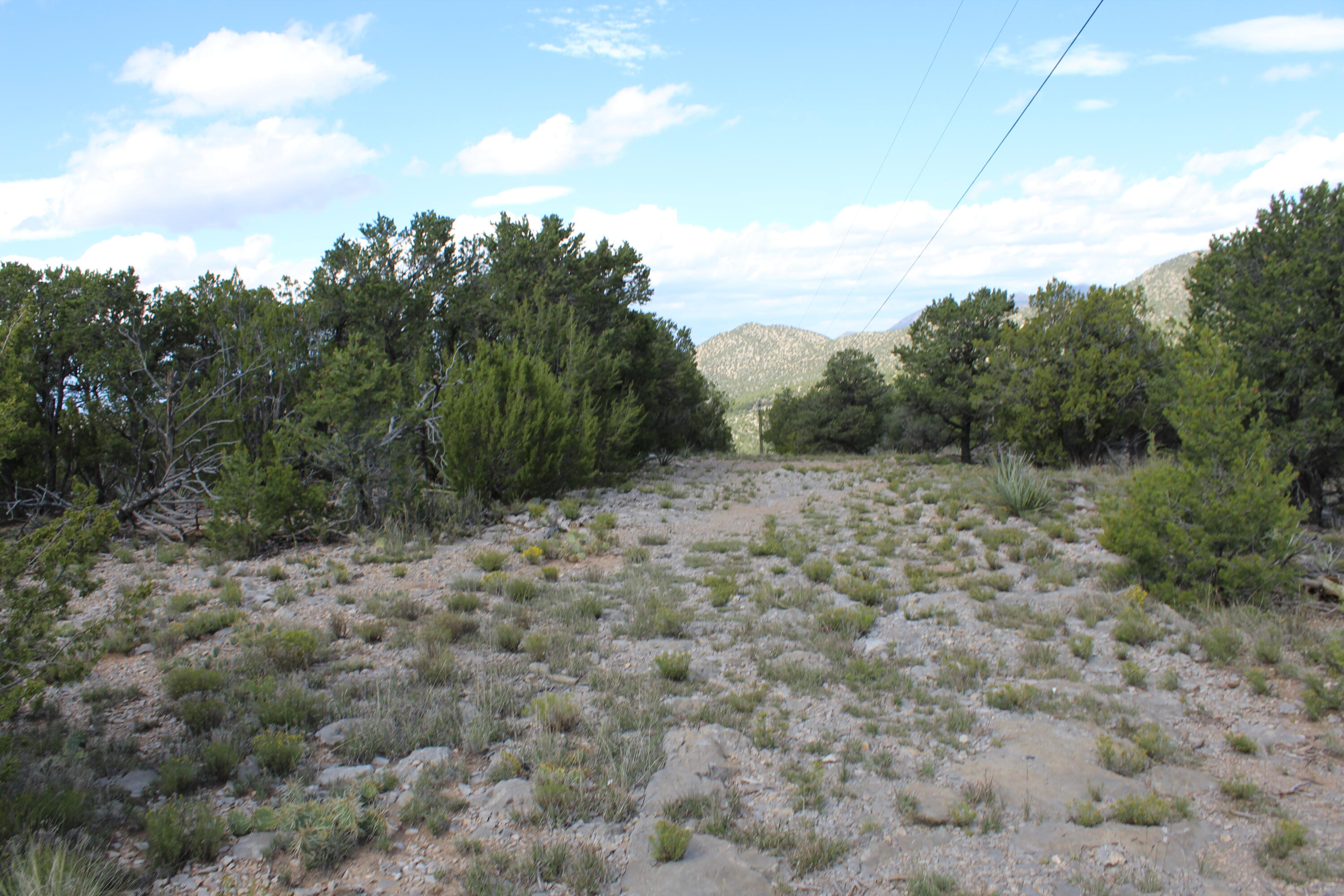 Photo 2 — 0 Ranchitos Road