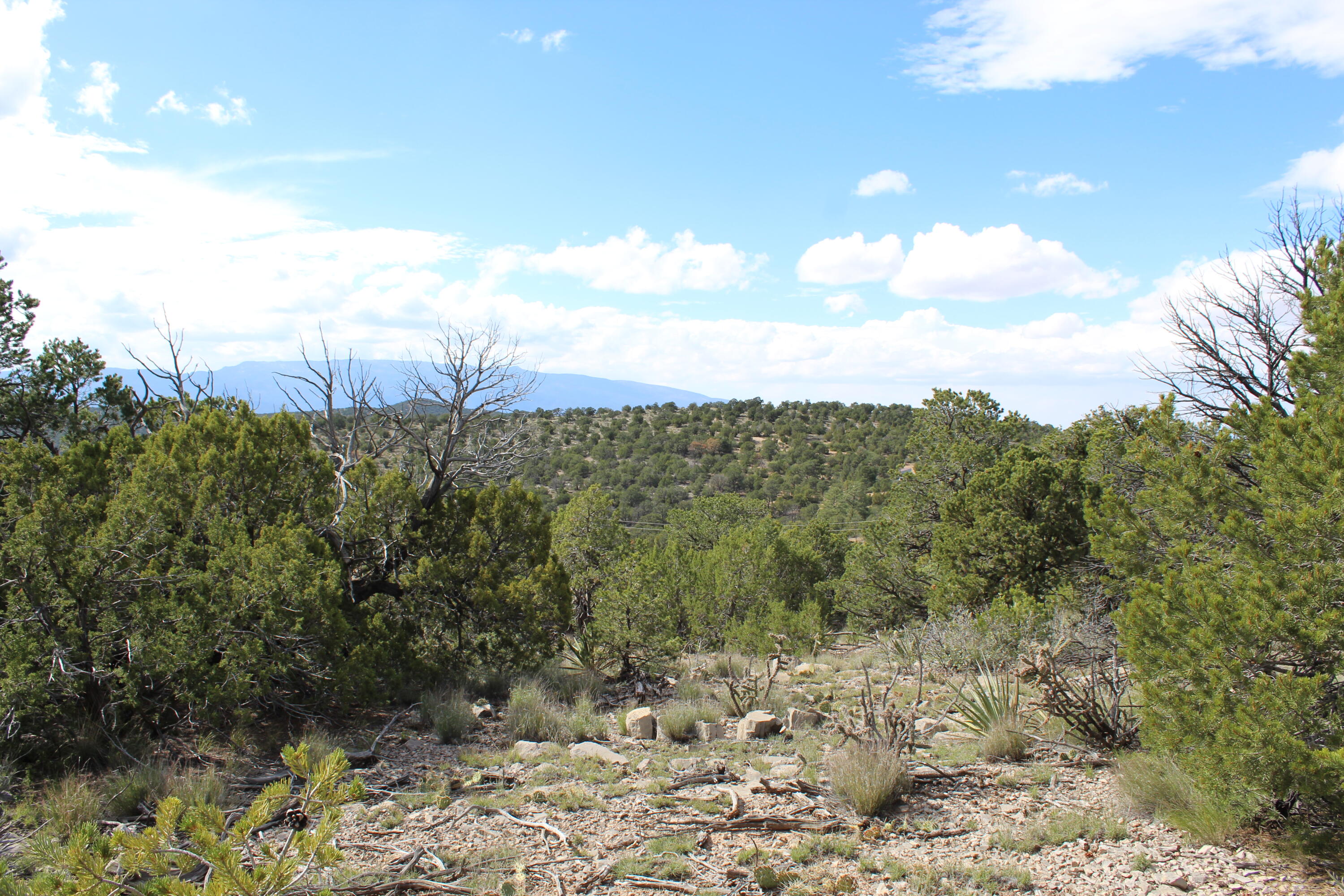 Photo 4 — 0 Ranchitos Road