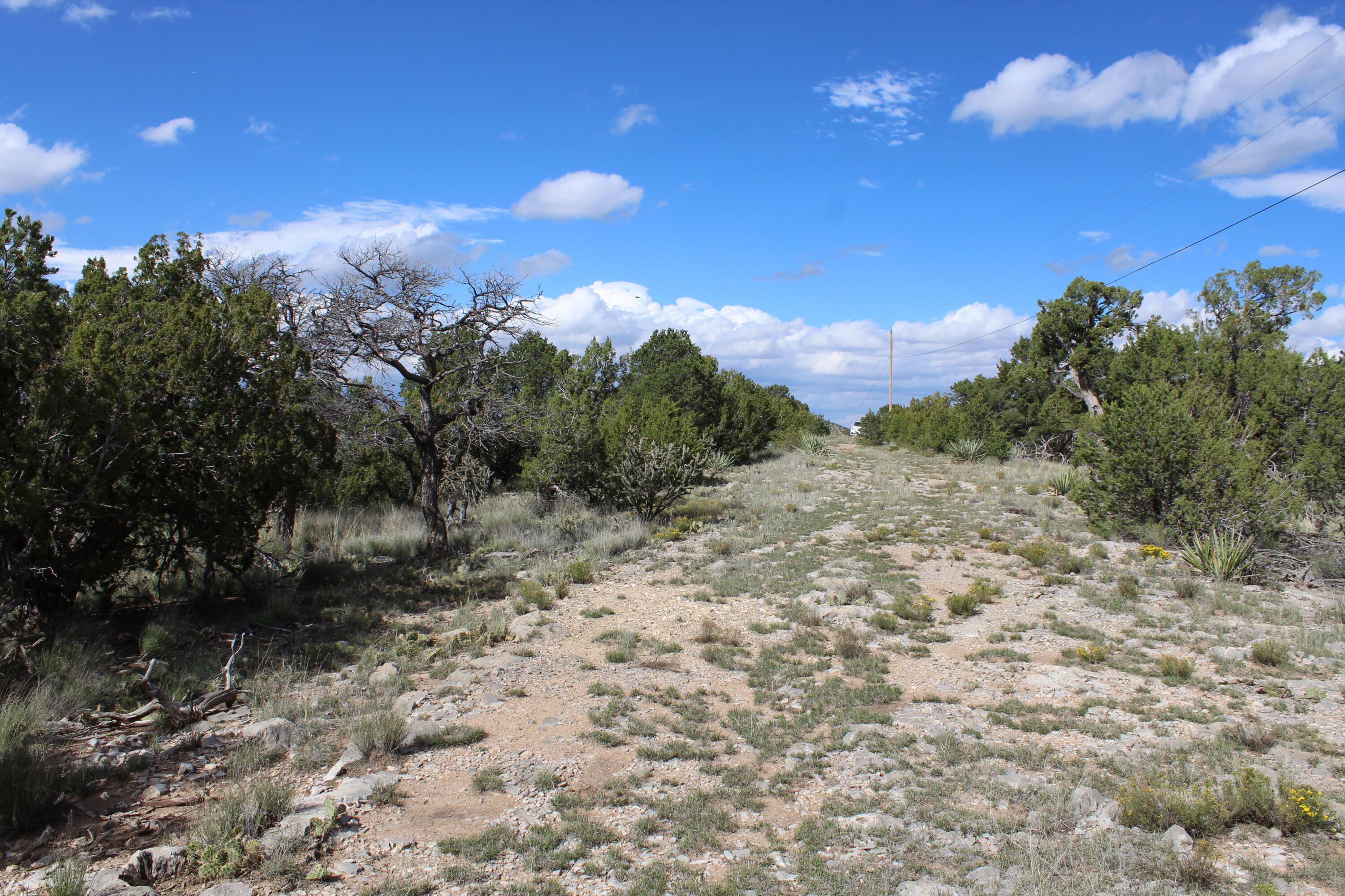 Photo 5 — 0 Ranchitos Road