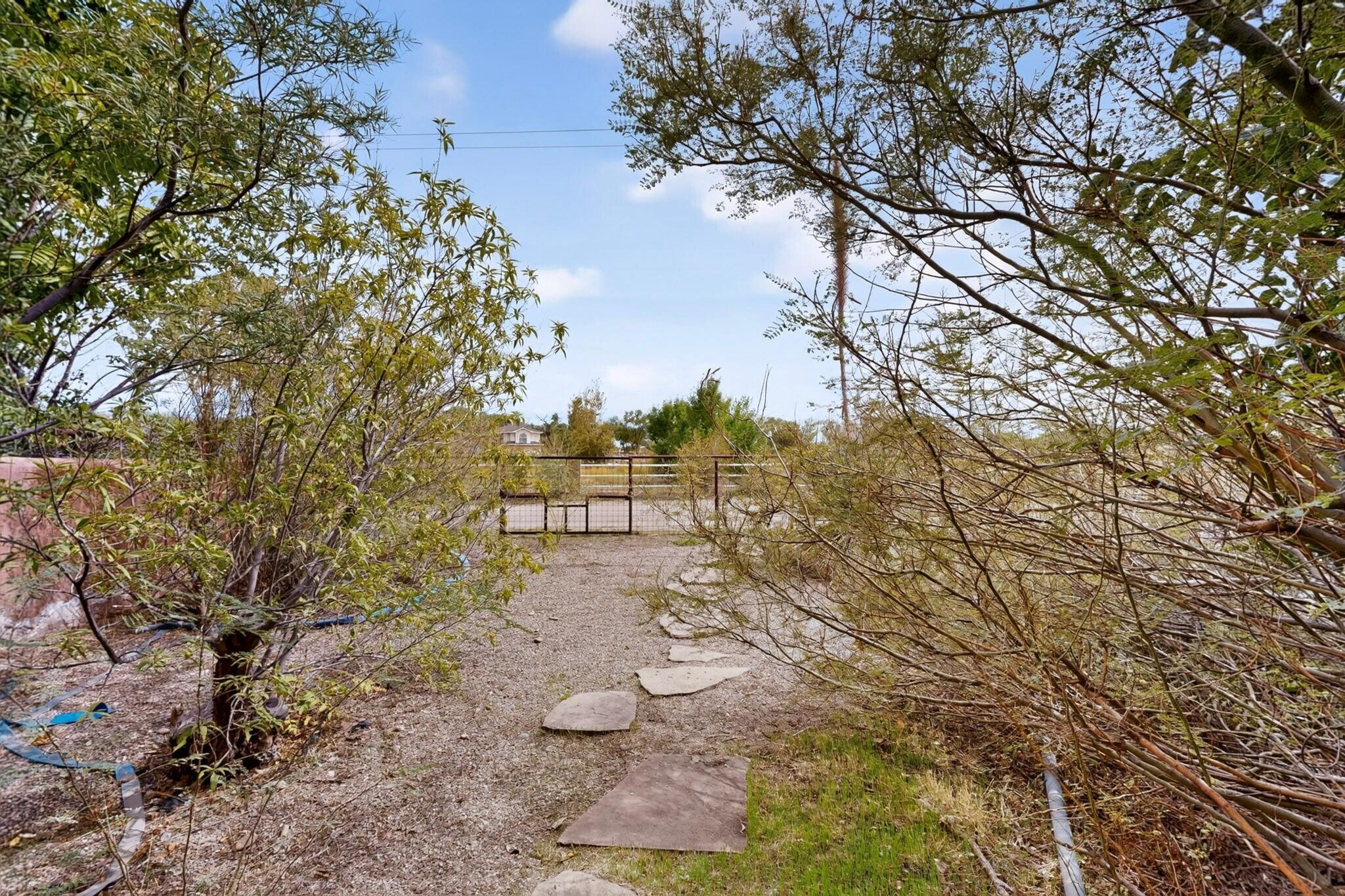 Photo 15 — 110 Seabell Road