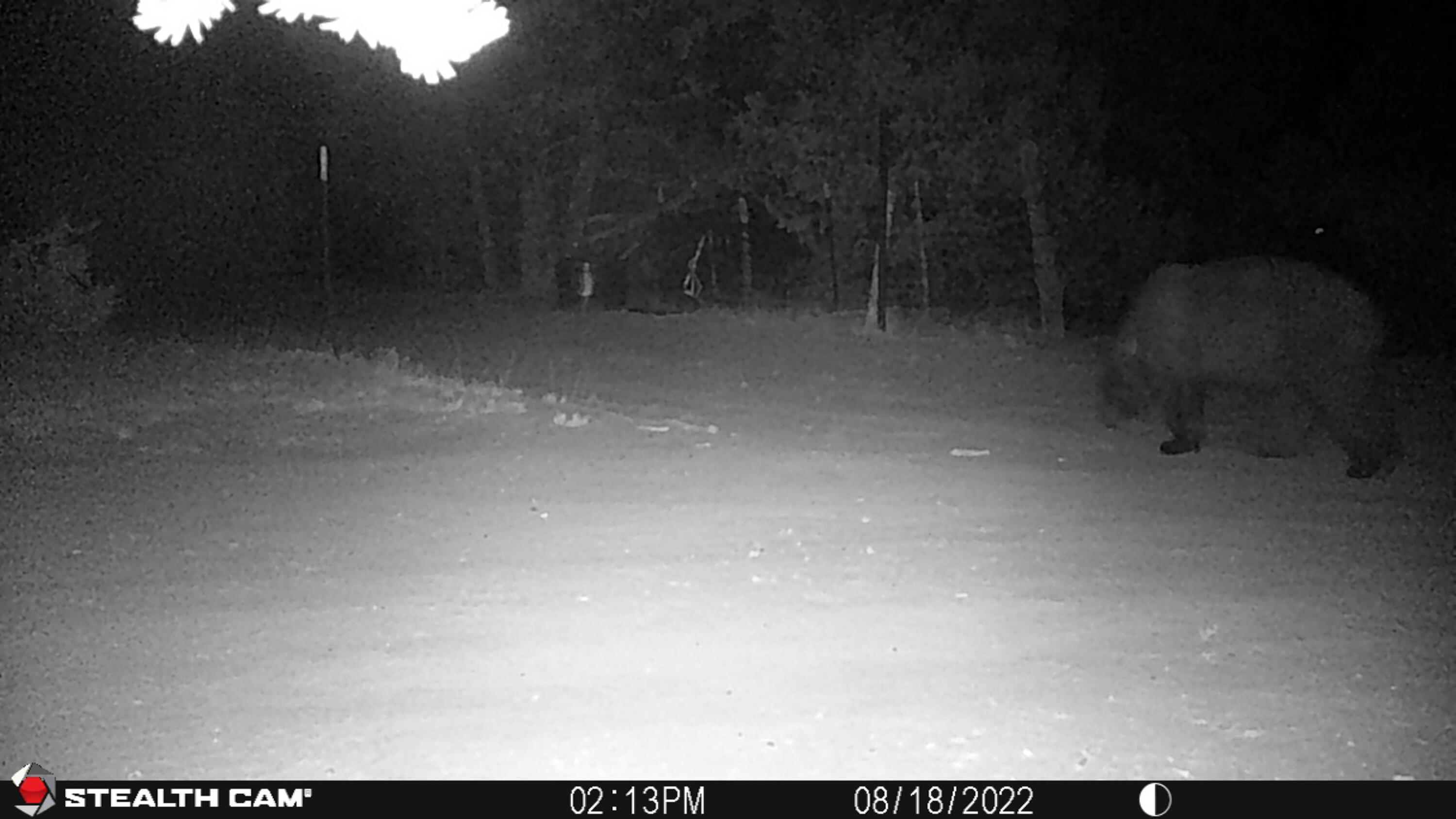 Photo 2 — 151 Alley Road