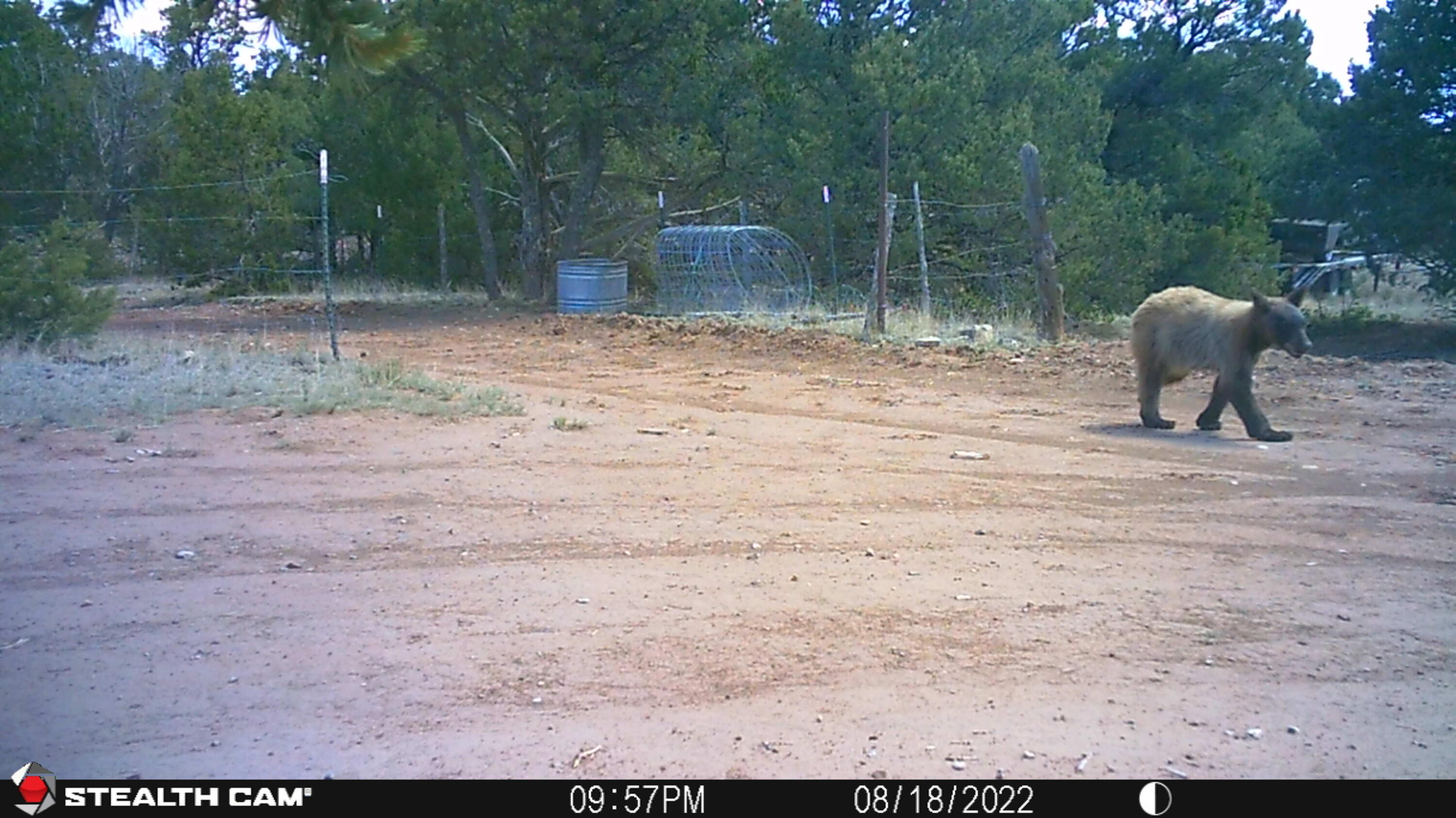 Photo 4 — 151 Alley Road