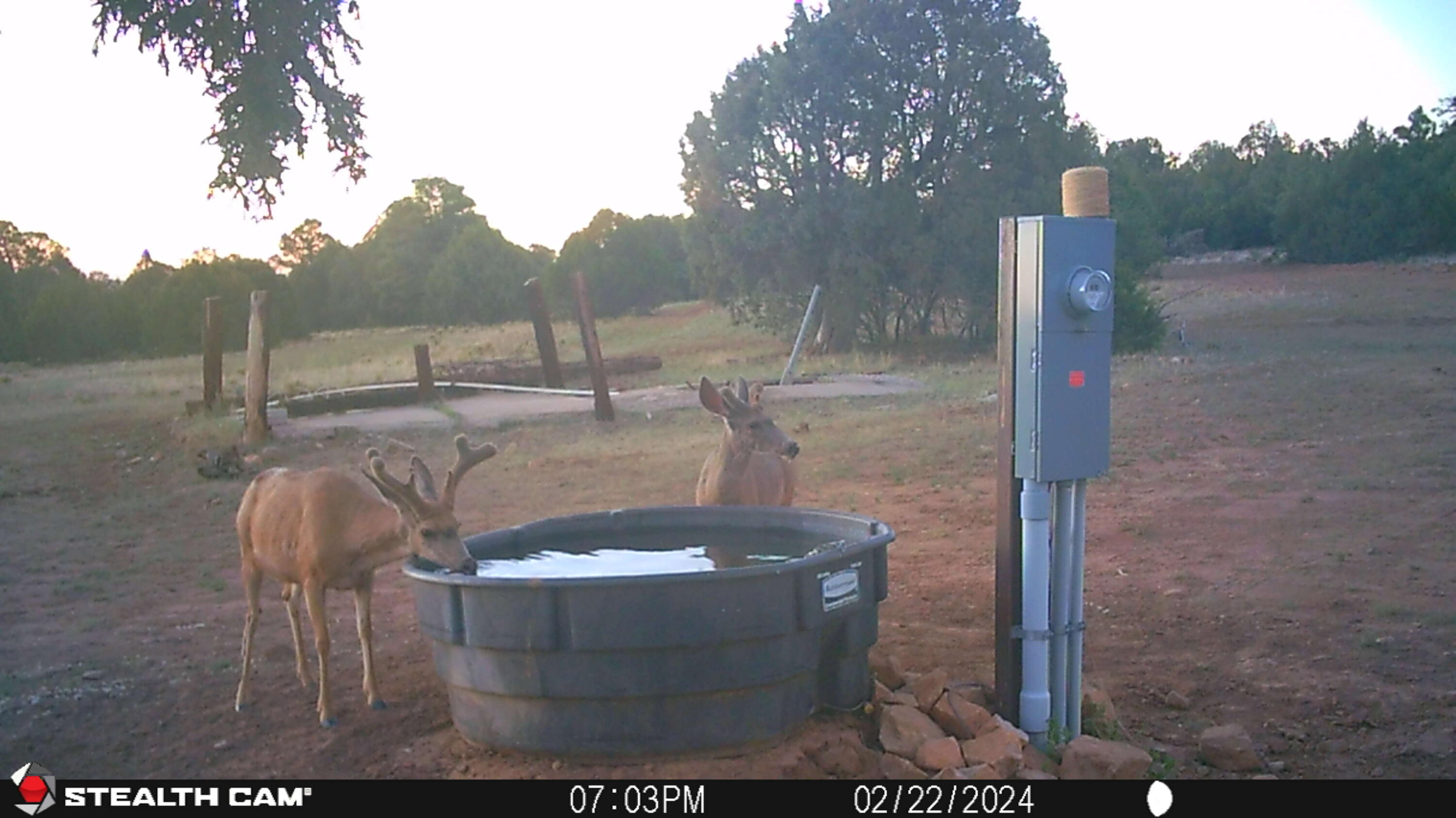 Photo 8 — 151 Alley Road