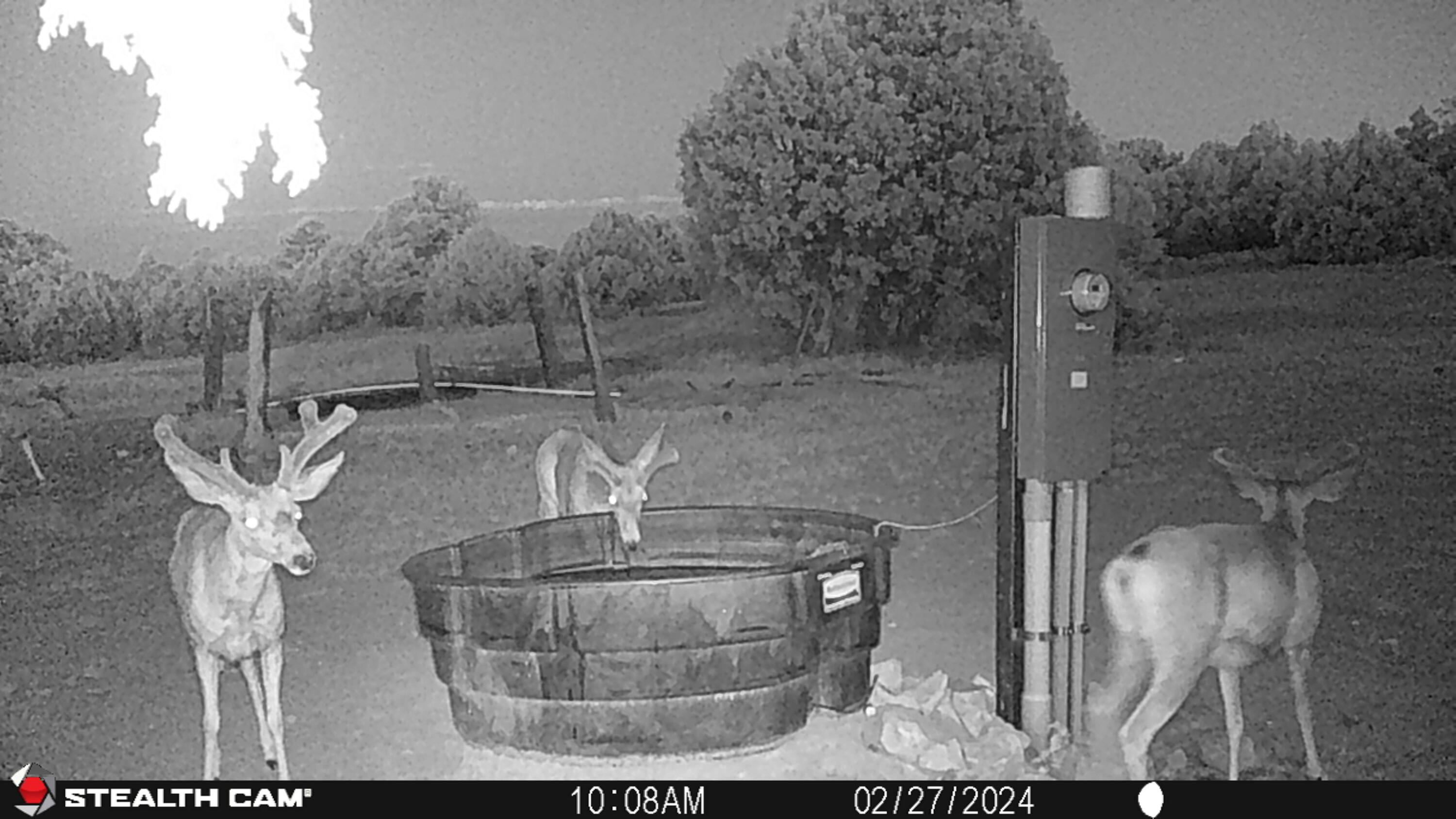Photo 19 — 151 Alley Road