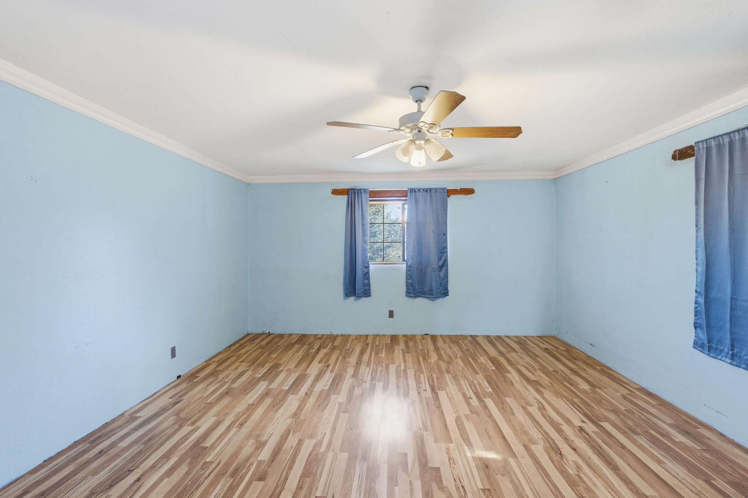 Photo 12 — 11 Longview Drive
