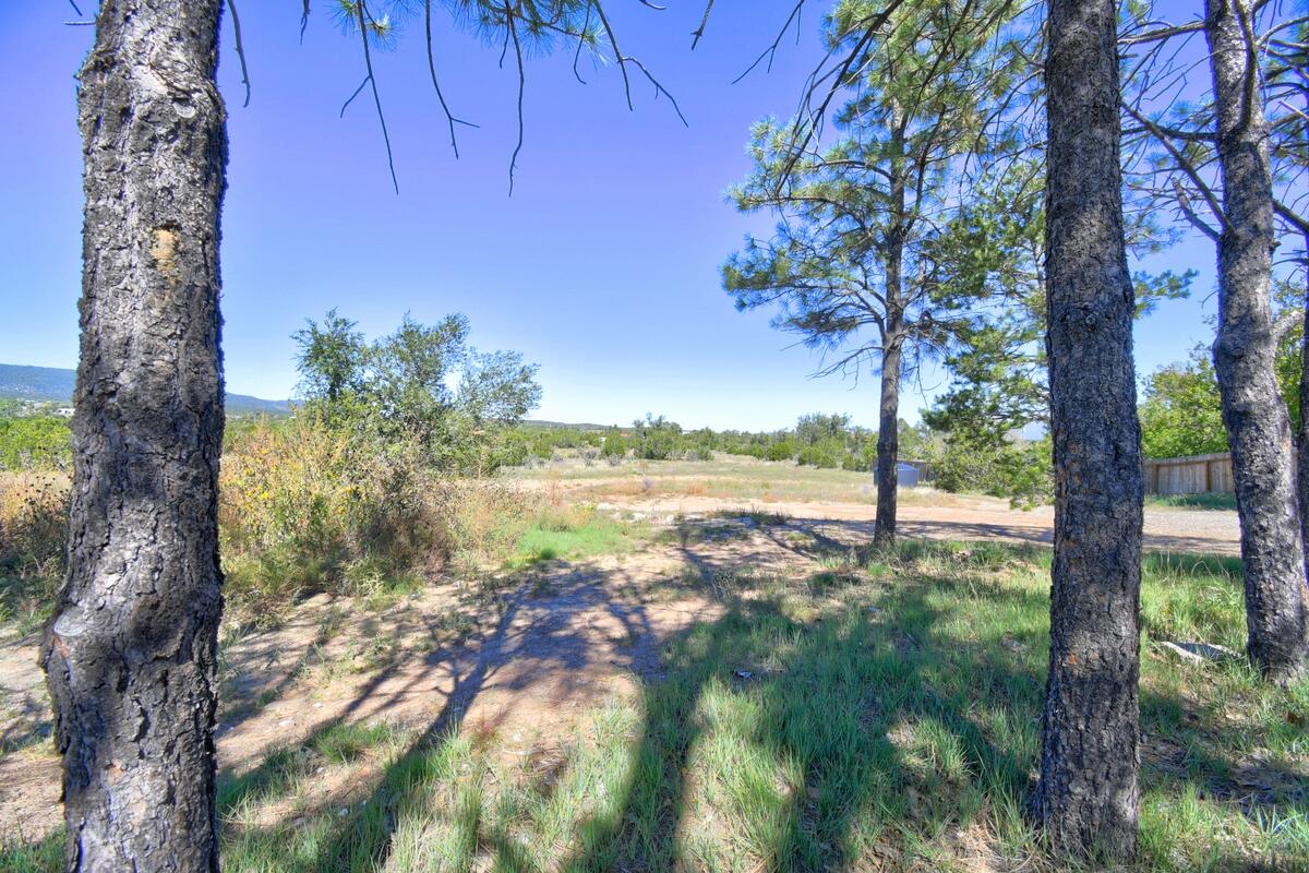 Photo 9 — 36 Pine Ridge Road