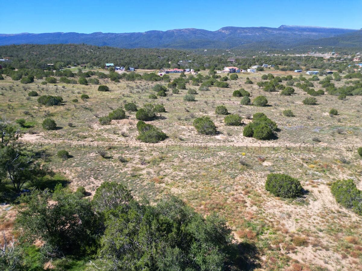 Photo 7 — 36 Pine Ridge Road