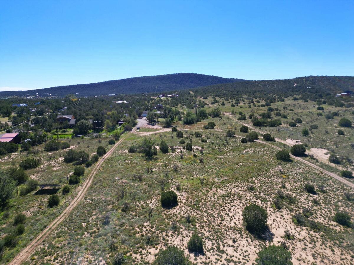 Photo 3 — 36 Pine Ridge Road
