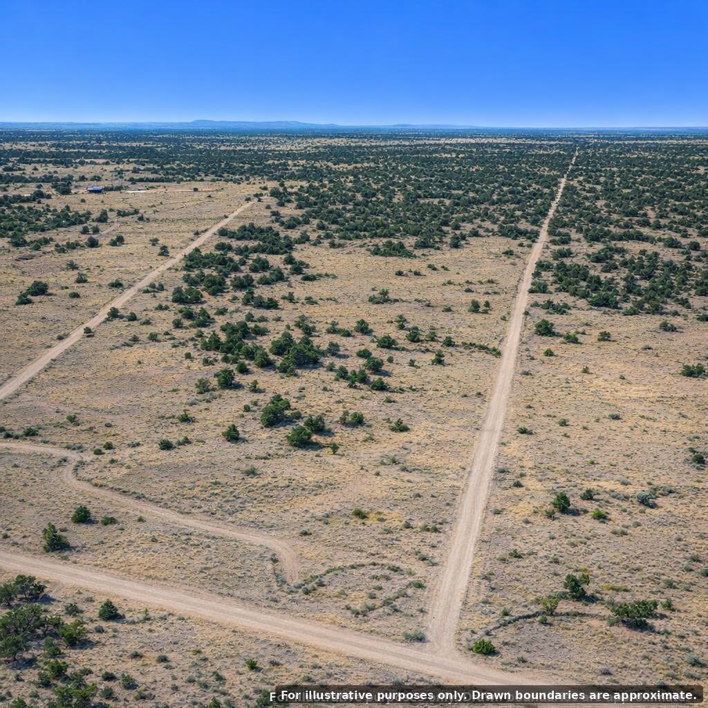Photo 5 — 22 Timberlake Road