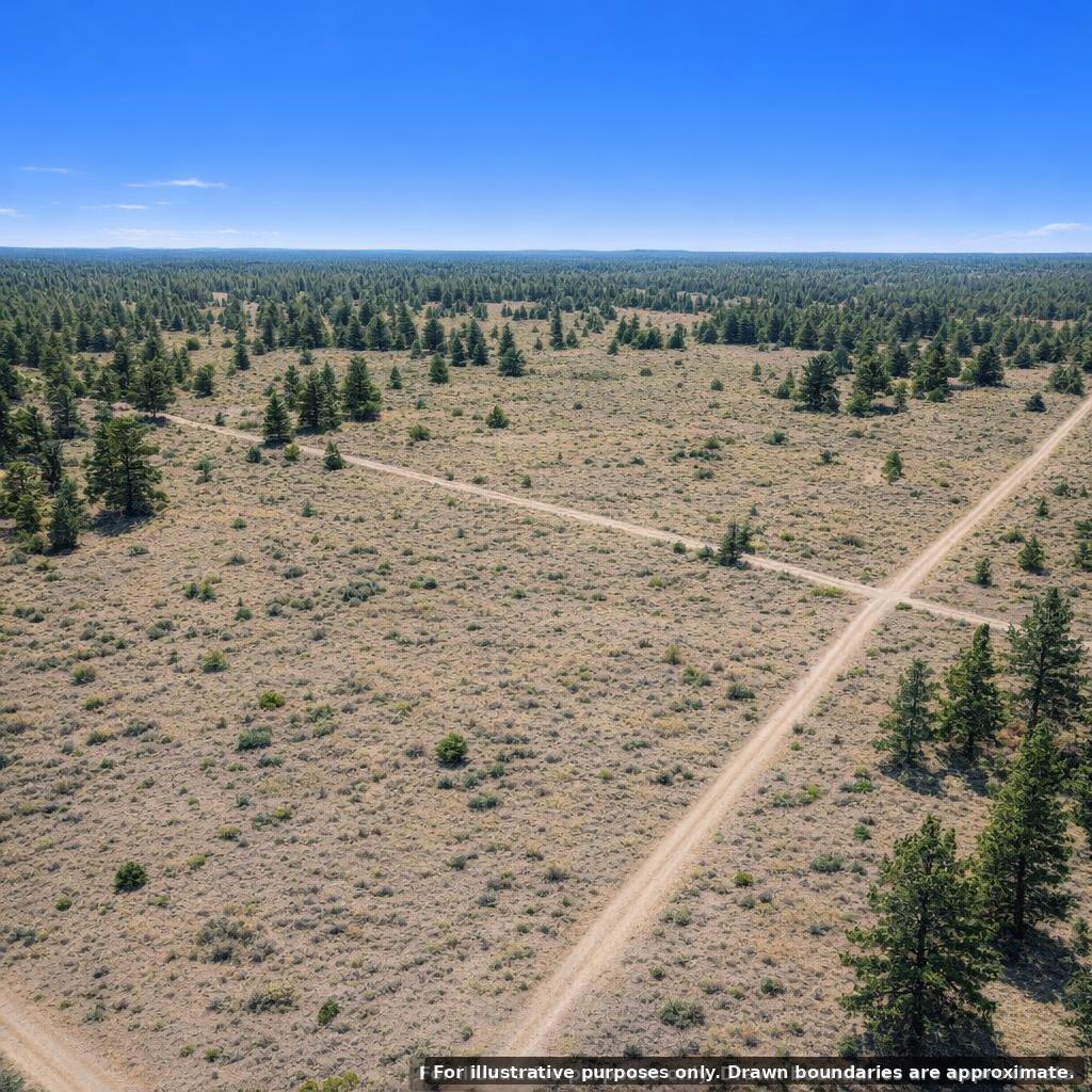 Photo 4 — 22 Timberlake Road