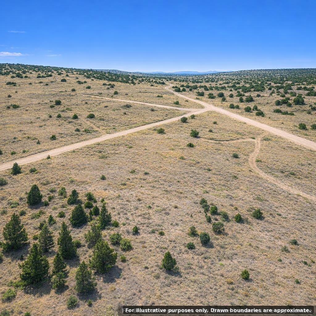 Photo 3 — 22 Timberlake Road