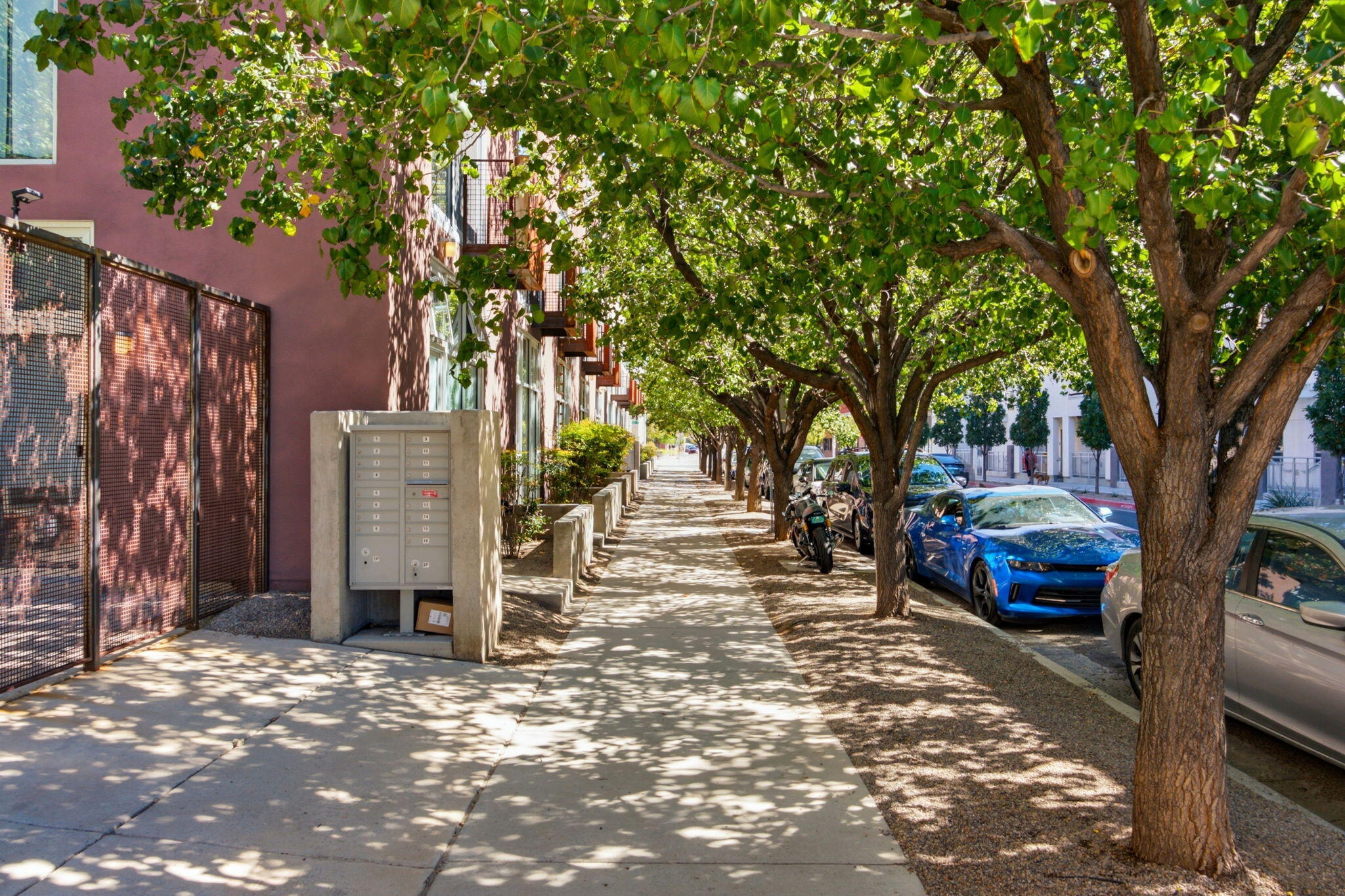 Photo 8 — 869 Silver Avenue SW