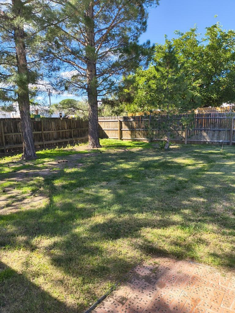 Photo 14 — 907 Sunset Street