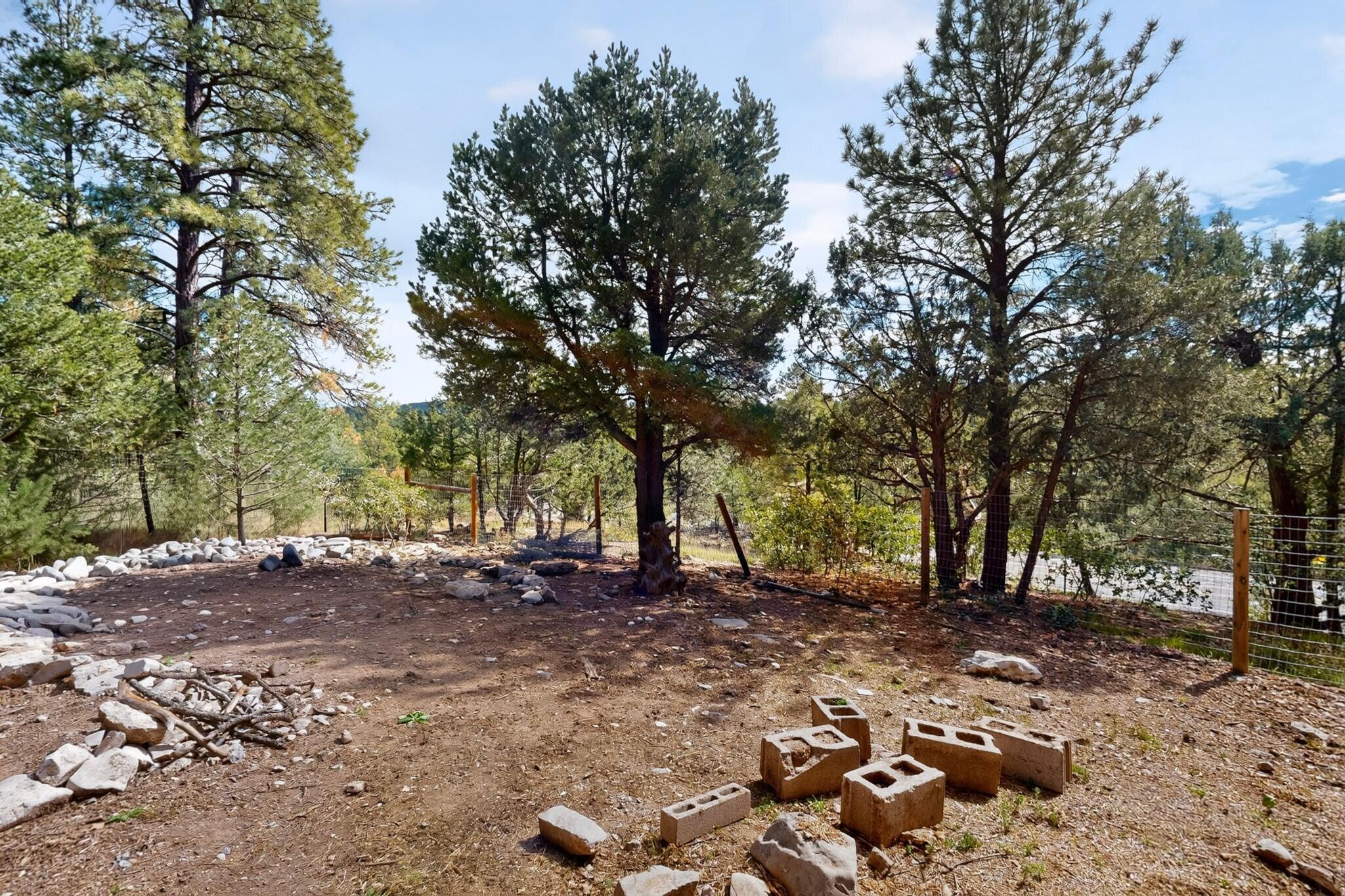 Photo 14 — 16 Thunderbird Lane