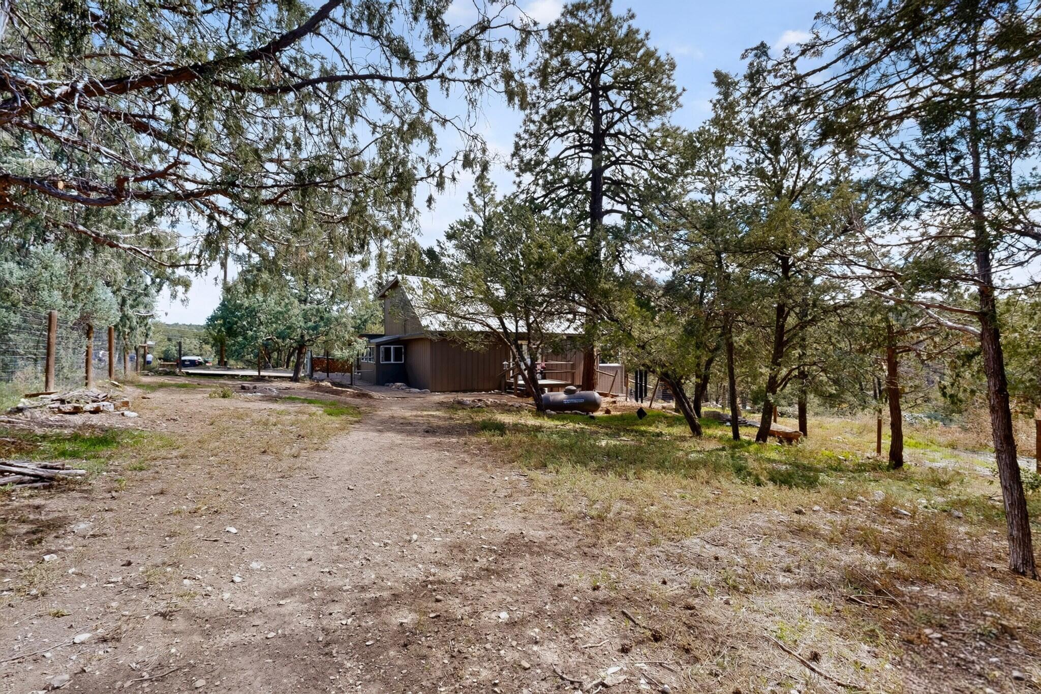 Photo 11 — 16 Thunderbird Lane
