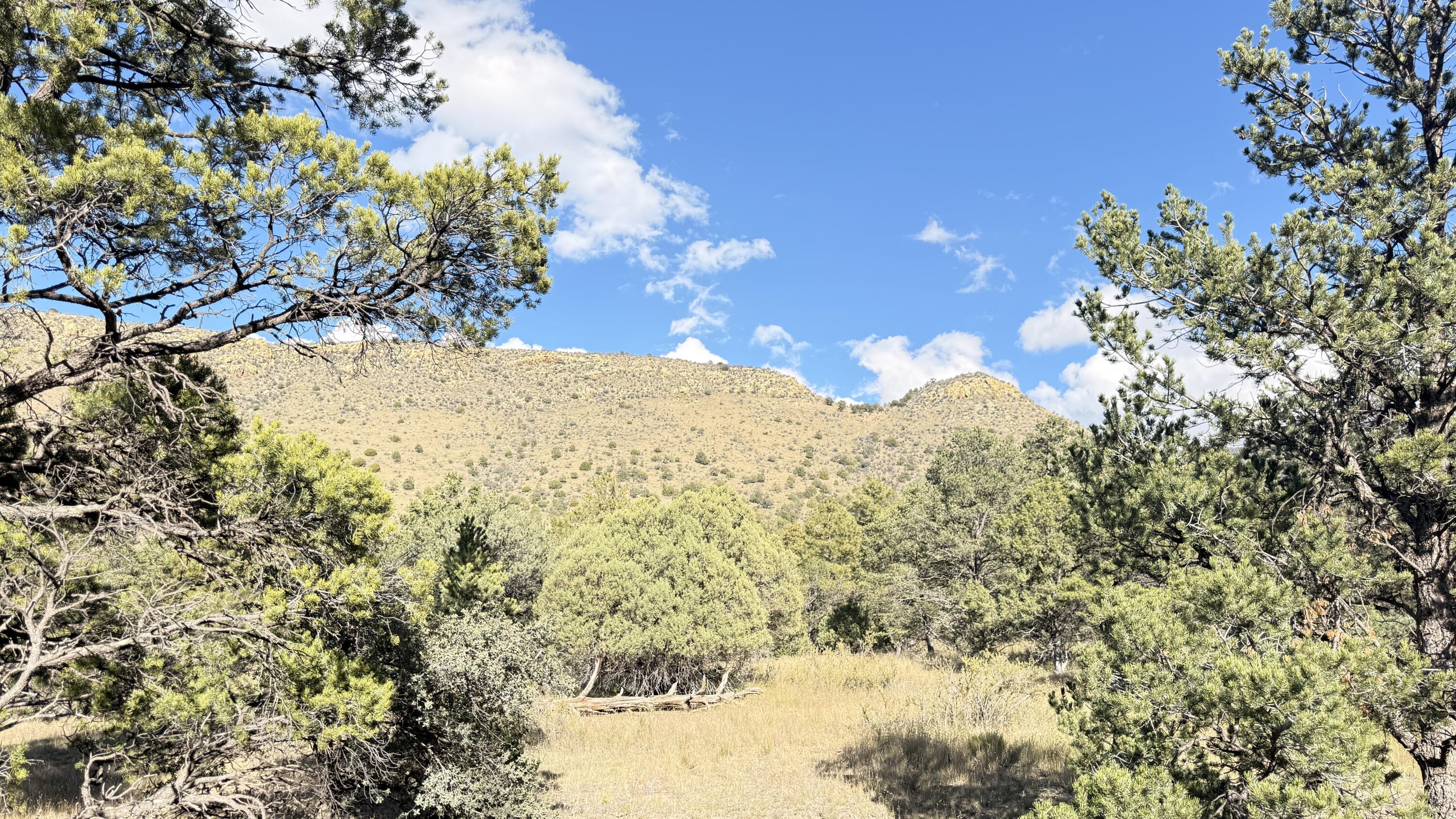 Photo 14 — 16 Canyon Oaks Pass