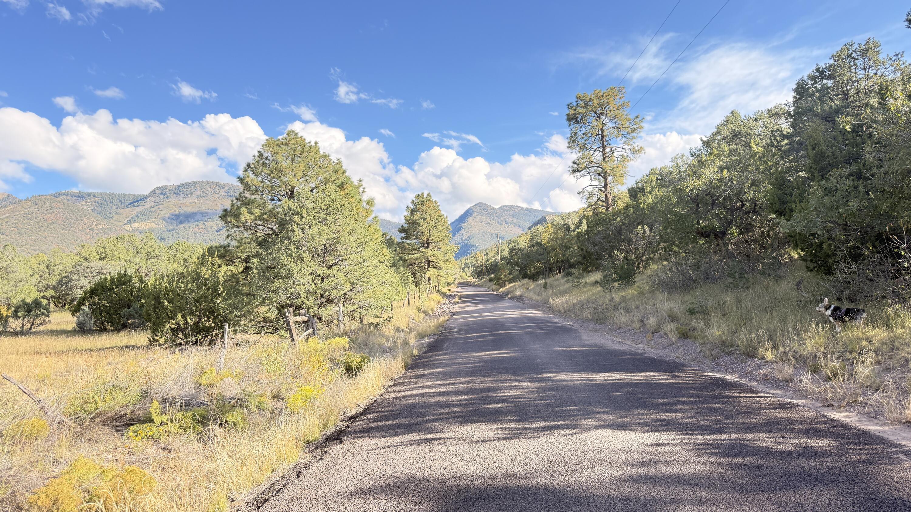 Photo 3 — 16 Canyon Oaks Pass