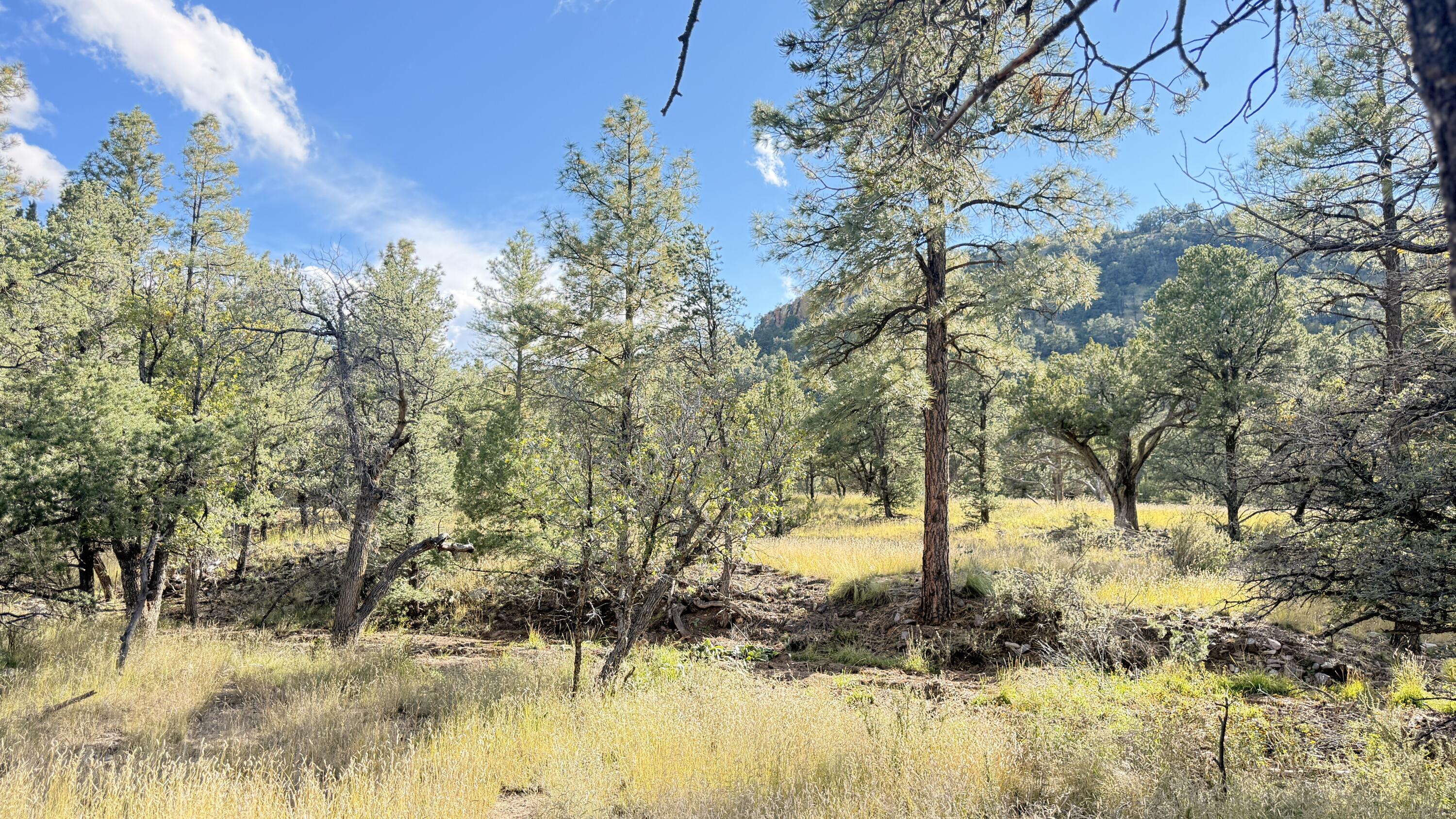 Photo 4 — 16 Canyon Oaks Pass