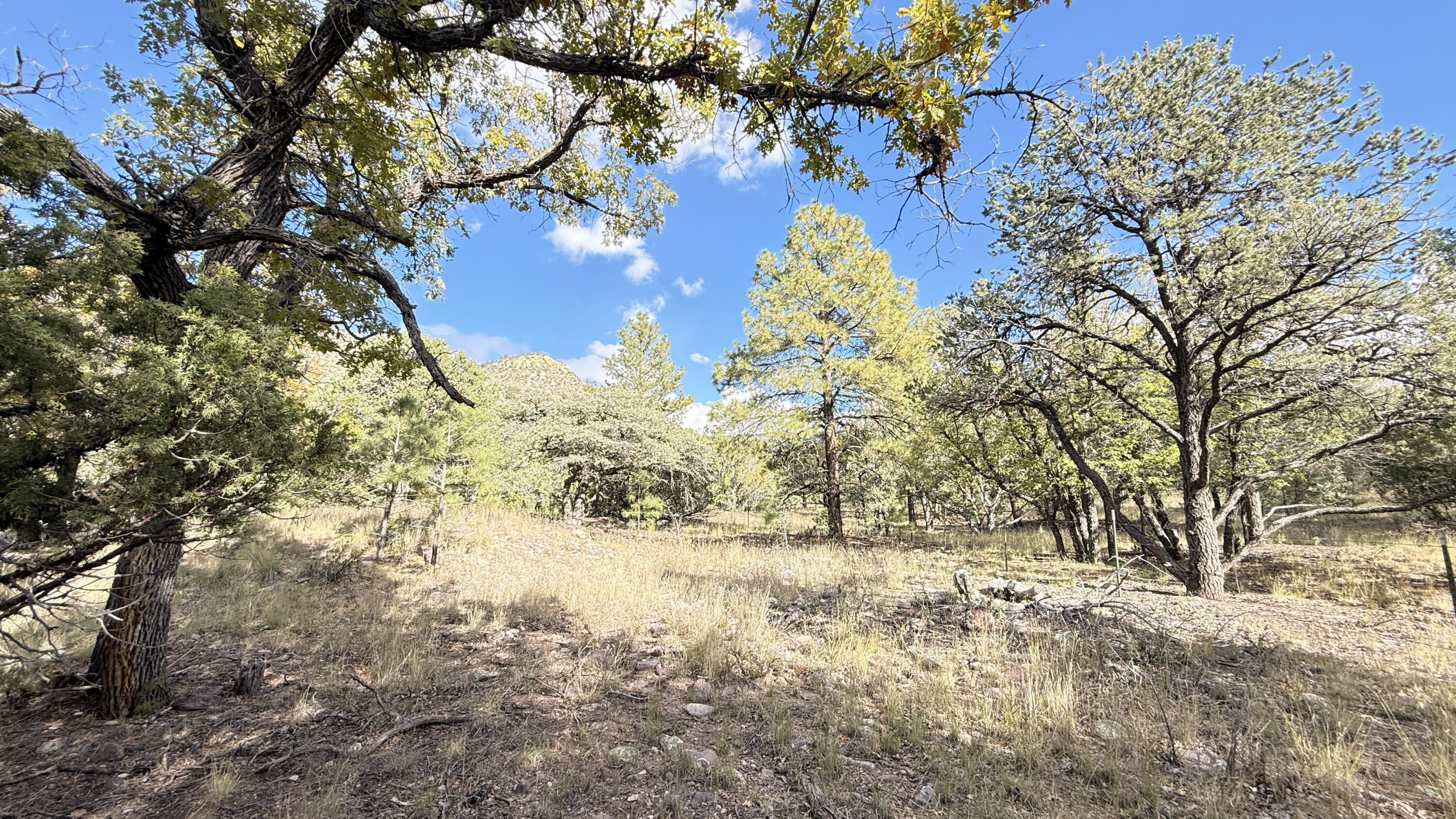 Photo 5 — 16 Canyon Oaks Pass