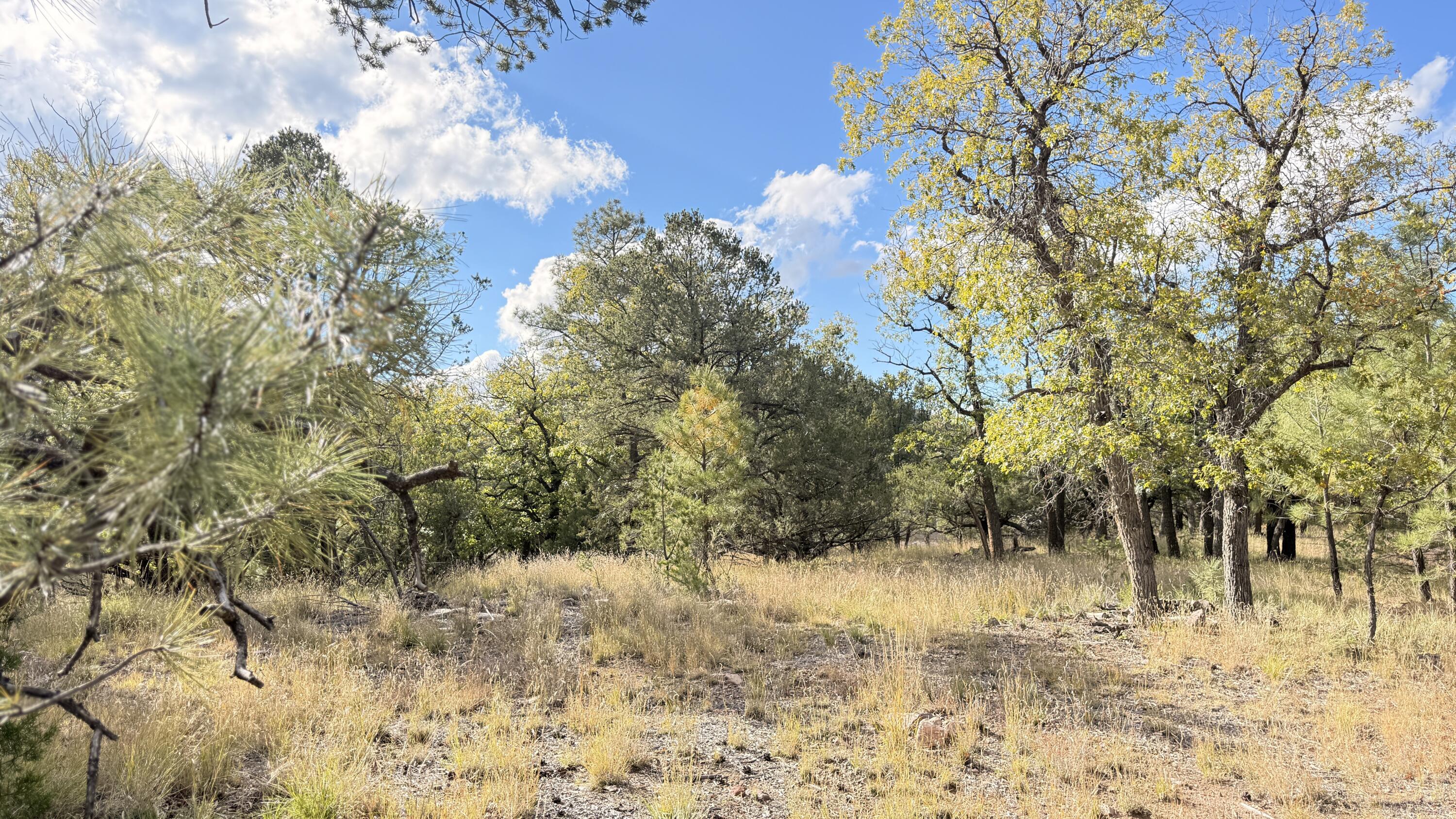 Photo 7 — 16 Canyon Oaks Pass