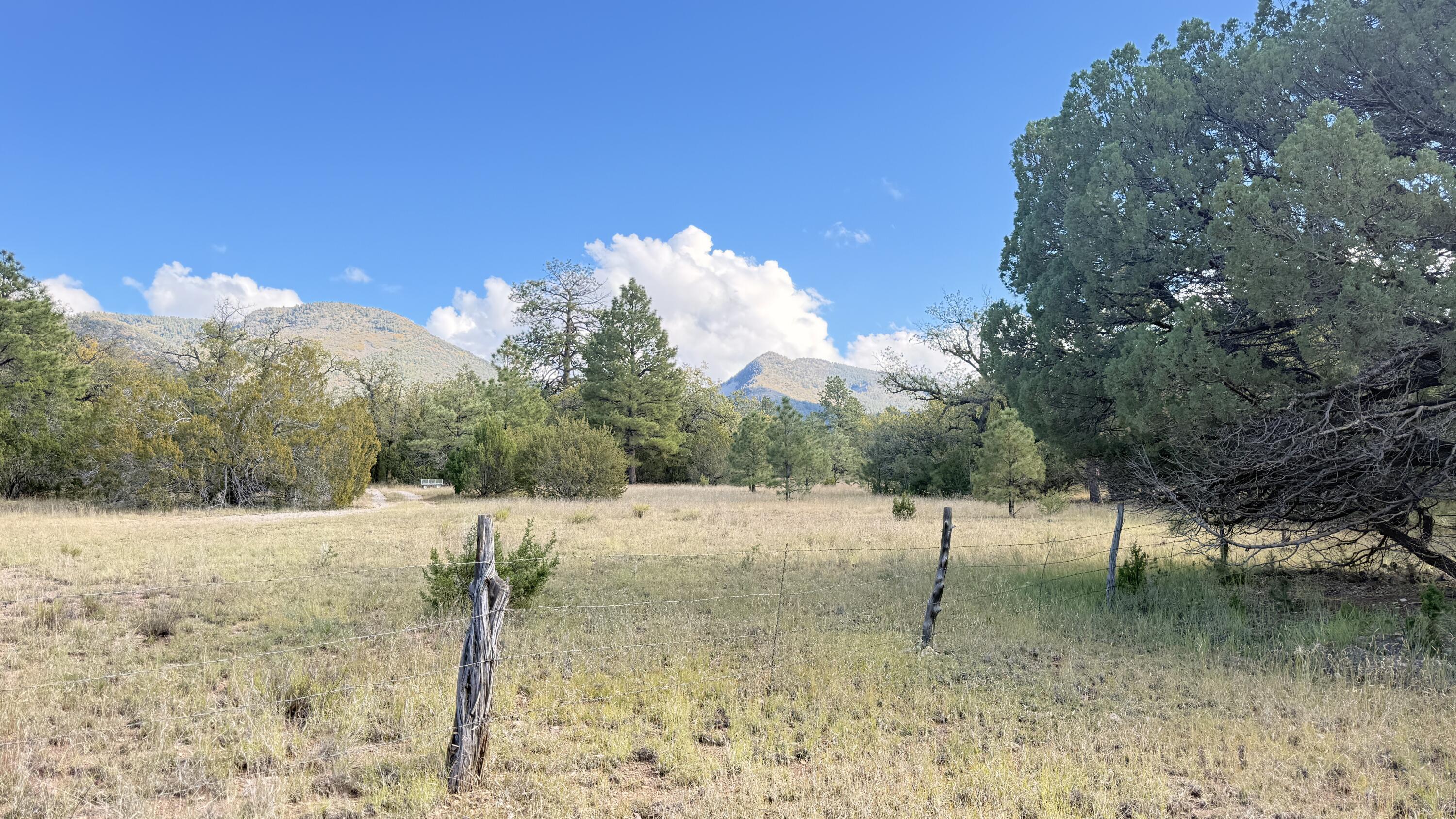 Photo 9 — 16 Canyon Oaks Pass