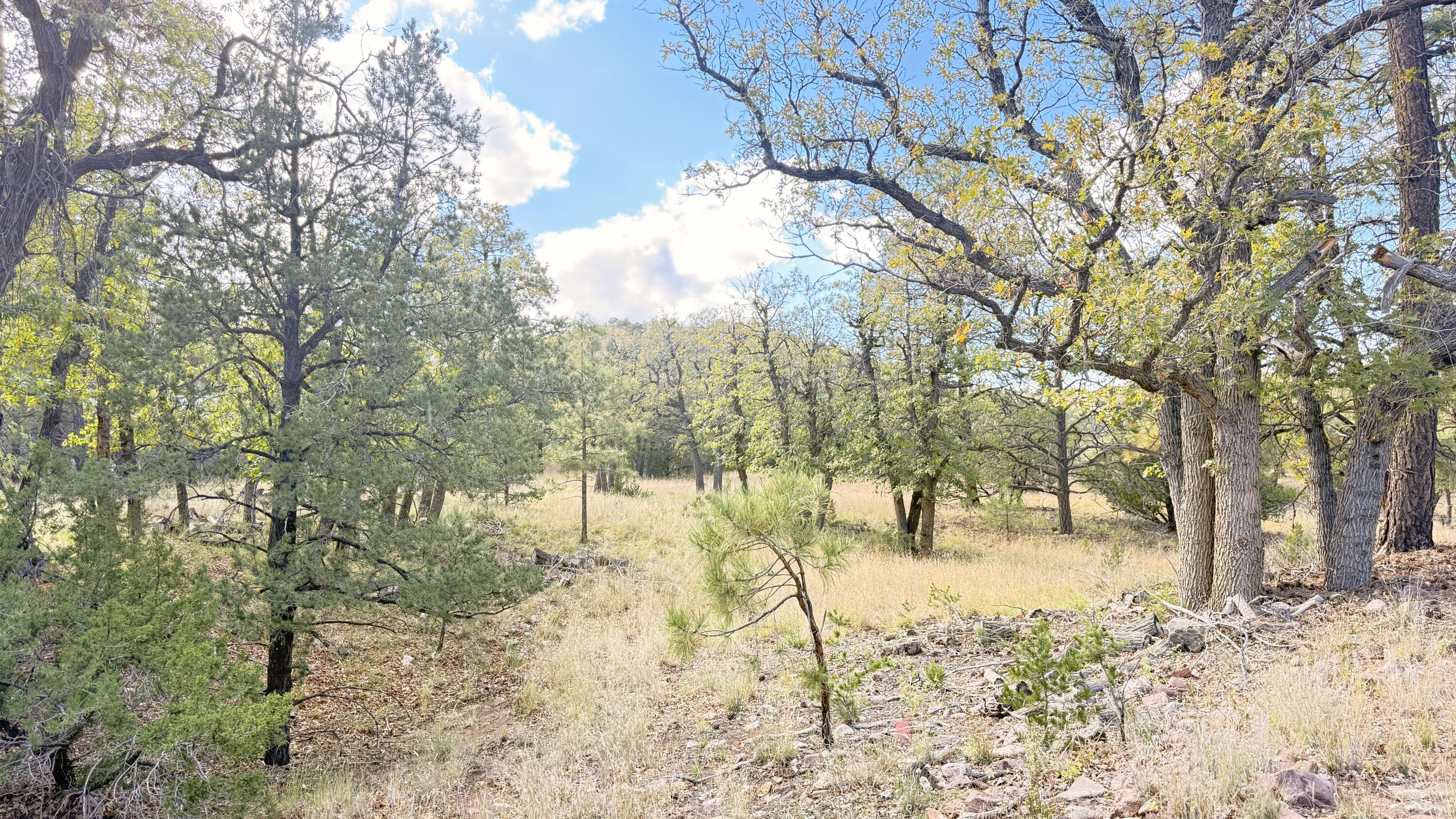 Photo 10 — 16 Canyon Oaks Pass